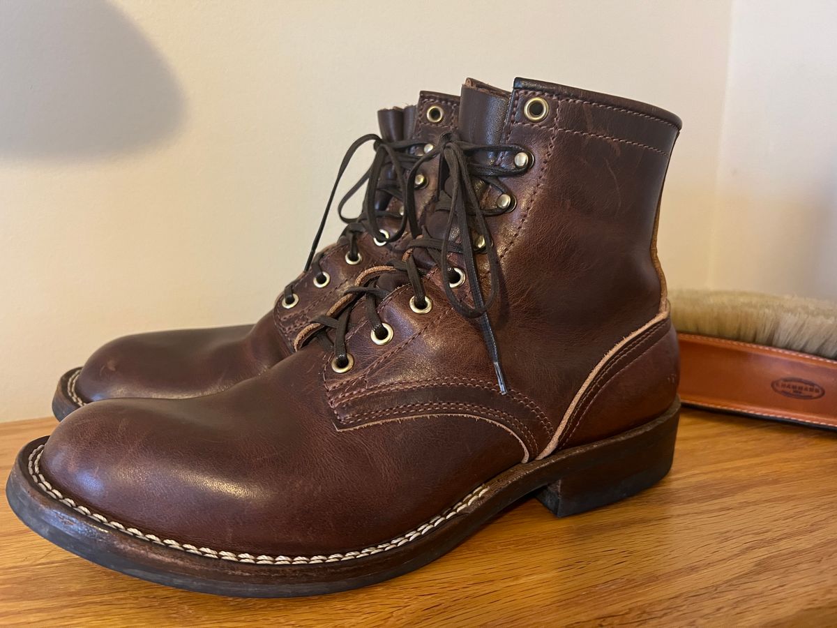 Photo by goblutes on January 1, 2025 of the Nicks MTO in Italian Brown Cypress.