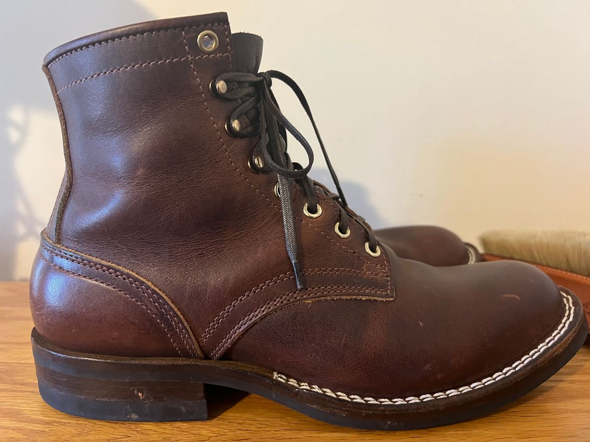 Photo by goblutes on January 1, 2025 of the Nicks MTO in Italian Brown Cypress.