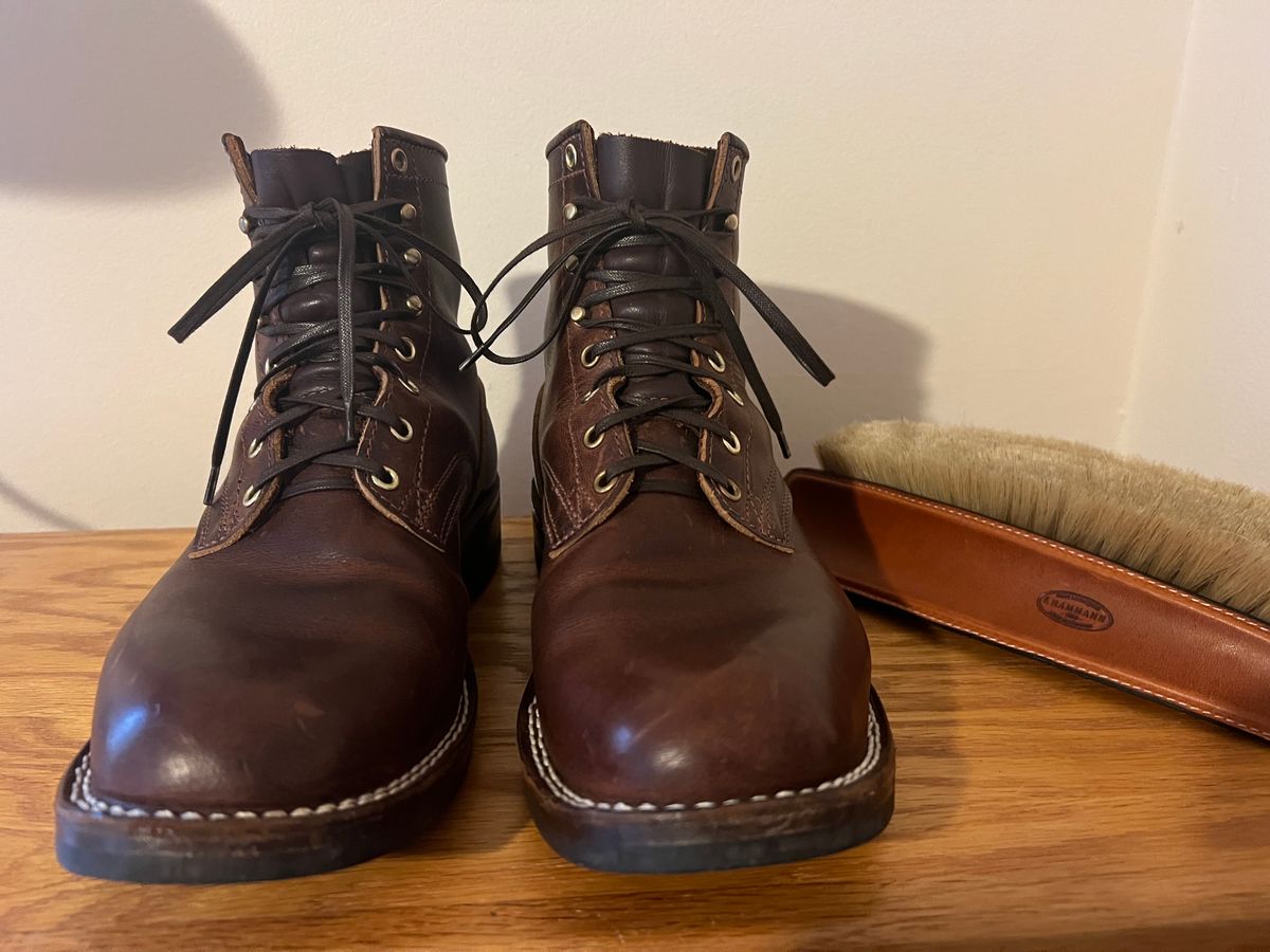 Photo by goblutes on January 1, 2025 of the Nicks MTO in Italian Brown Cypress.