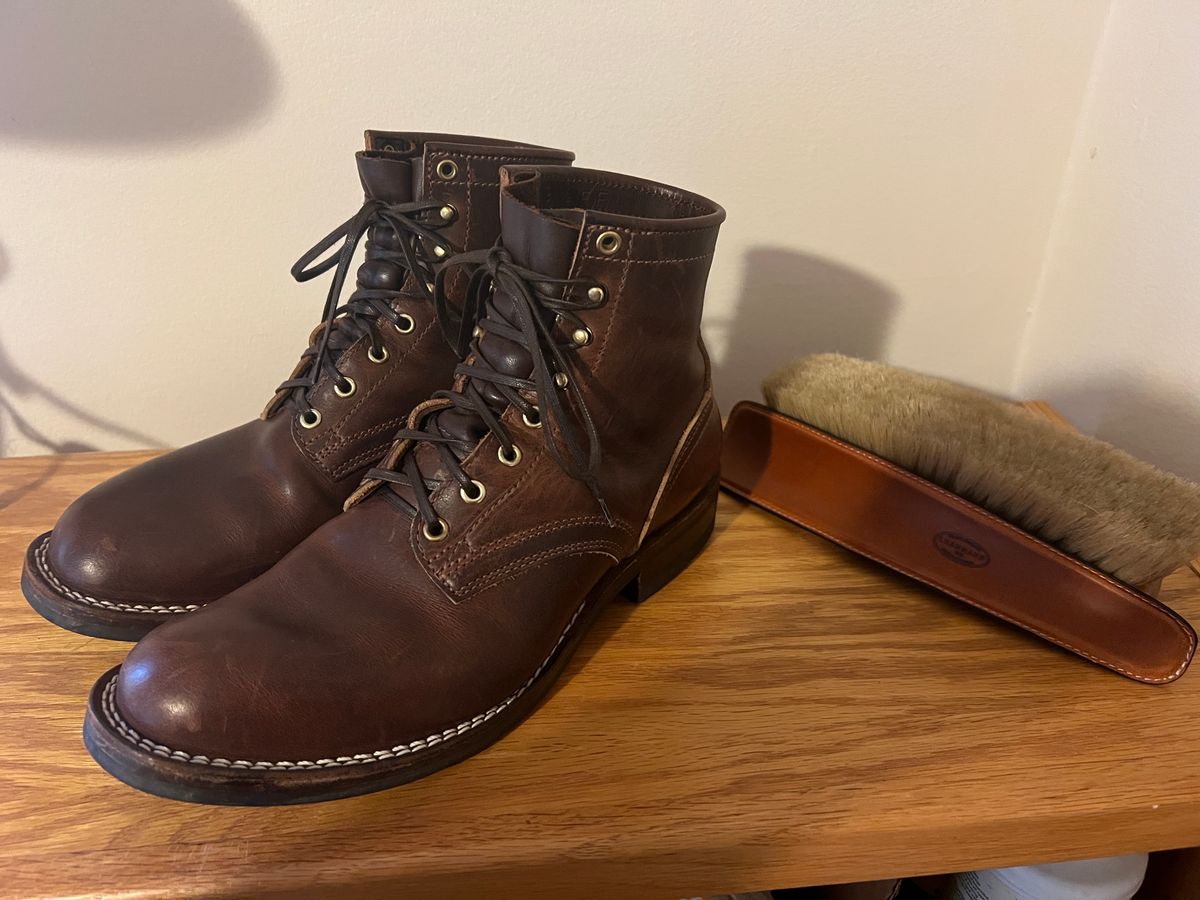 Photo by goblutes on January 1, 2025 of the Nicks MTO in Italian Brown Cypress.