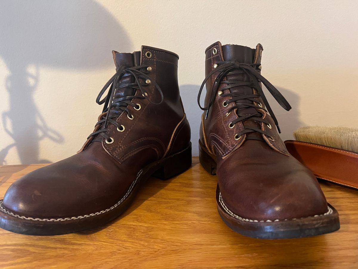 Photo by goblutes on January 1, 2025 of the Nicks MTO in Italian Brown Cypress.