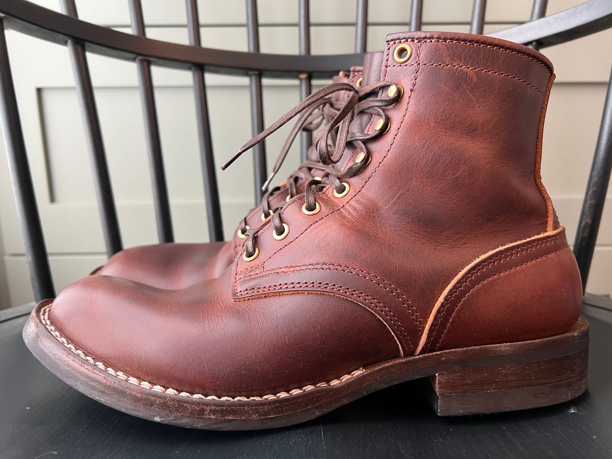 Photo by goblutes on January 25, 2025 of the Nicks MTO in Italian Brown Cypress.