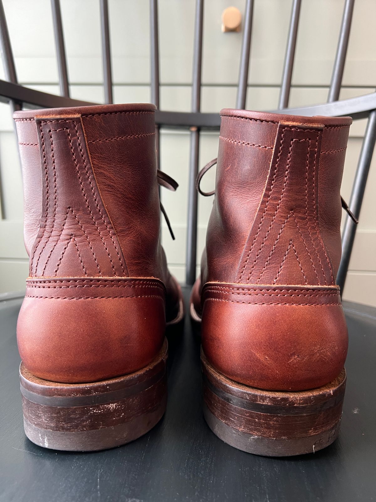 Photo by goblutes on January 25, 2025 of the Nicks MTO in Italian Brown Cypress.