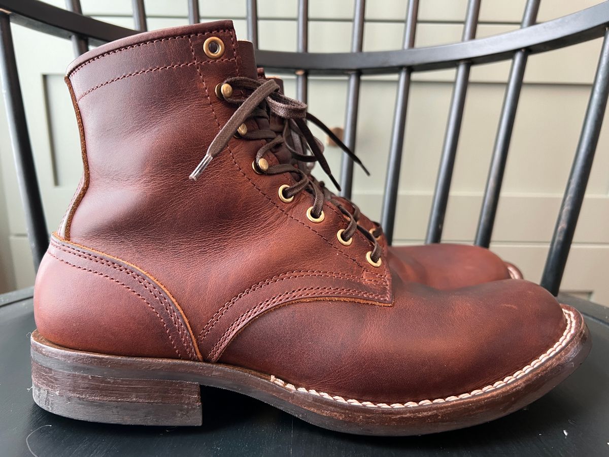 Photo by goblutes on January 25, 2025 of the Nicks MTO in Italian Brown Cypress.