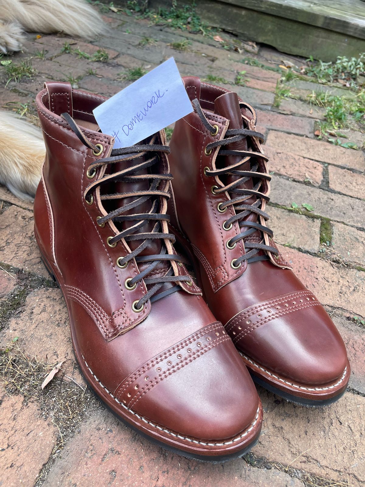 Photo by nareichert on October 1, 2022 of the Wesco Hendrik in Horween Color 4 Shell Cordovan.