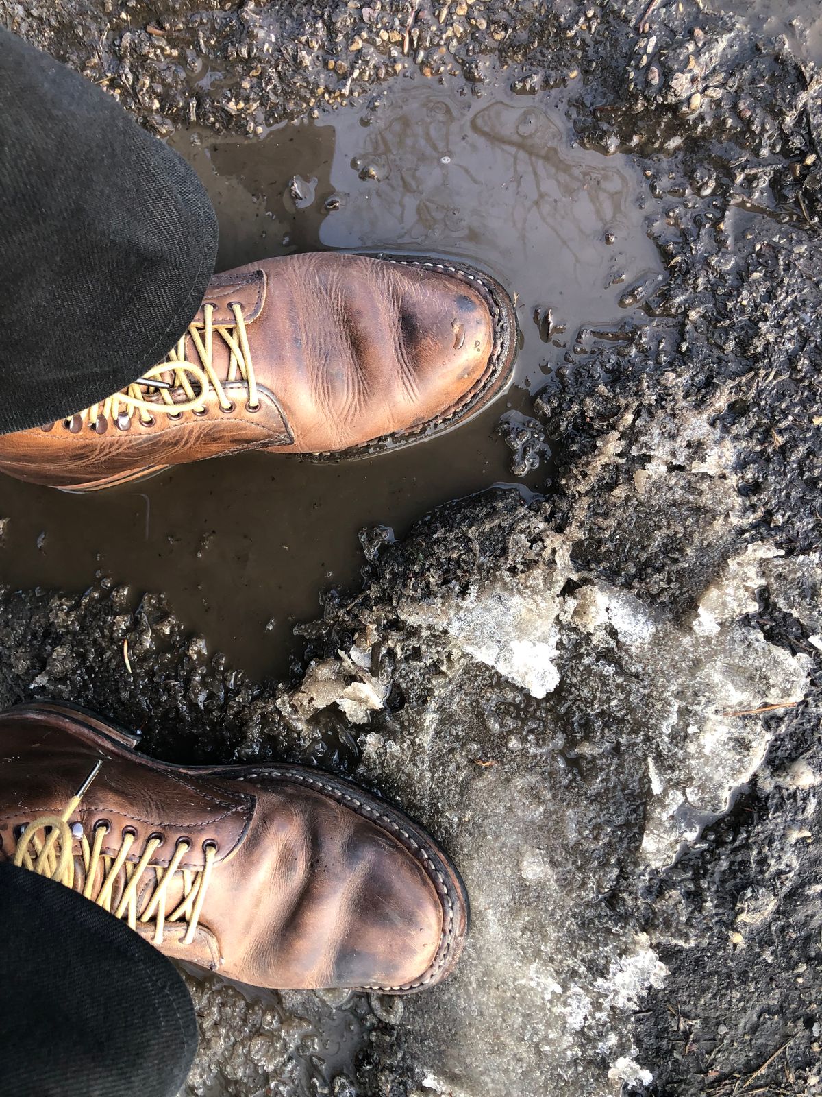 Photo by Ageless on March 12, 2023 of the White's Stevens (Plain Toe) in Horween Natural Chromexcel.