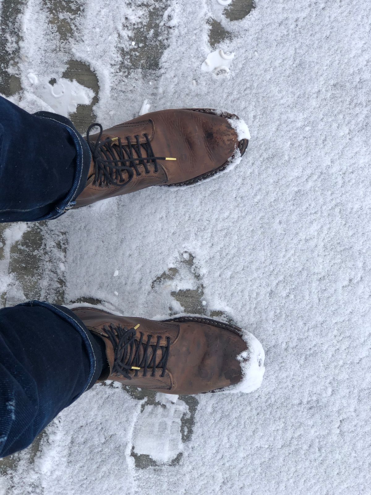 Photo by Ageless on March 28, 2023 of the White's Stevens (Plain Toe) in Horween Natural Chromexcel.