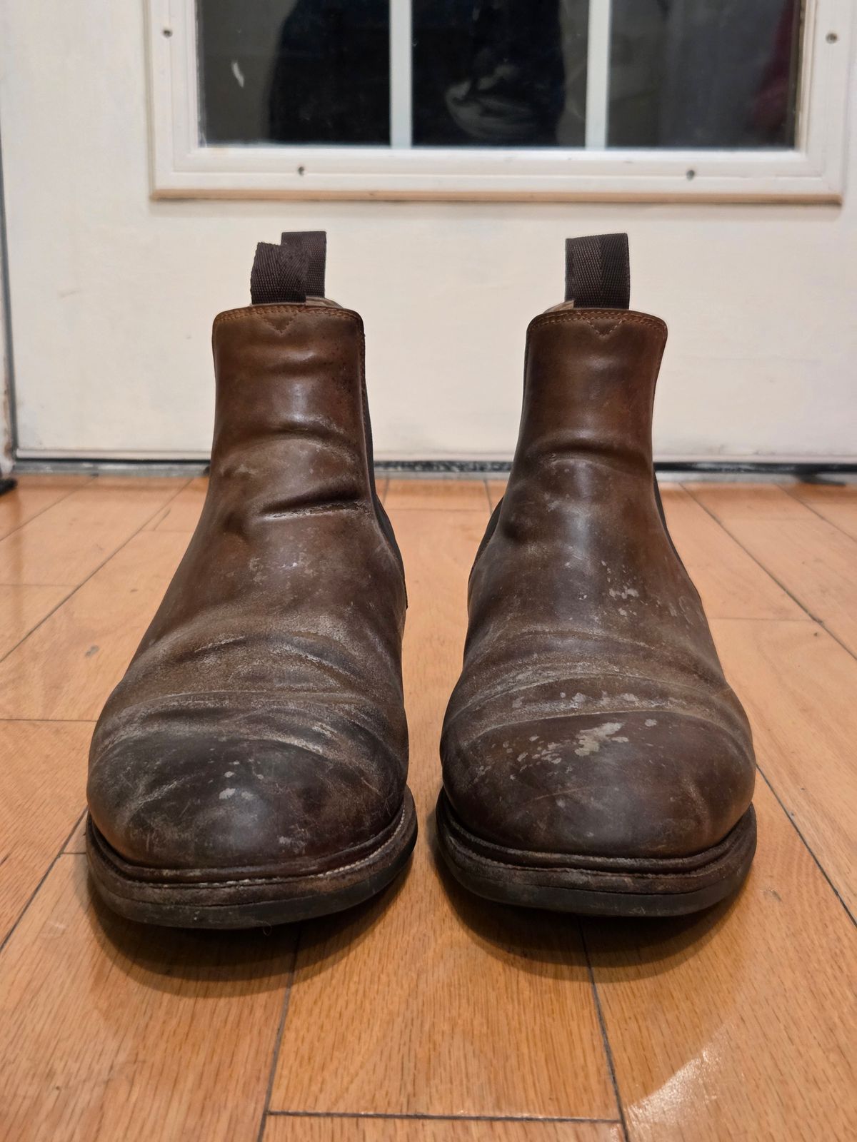 Photo by Syzygy on December 6, 2025 of the Meermin Chelsea Boot in Whiskey Heritage Shell Cordovan.