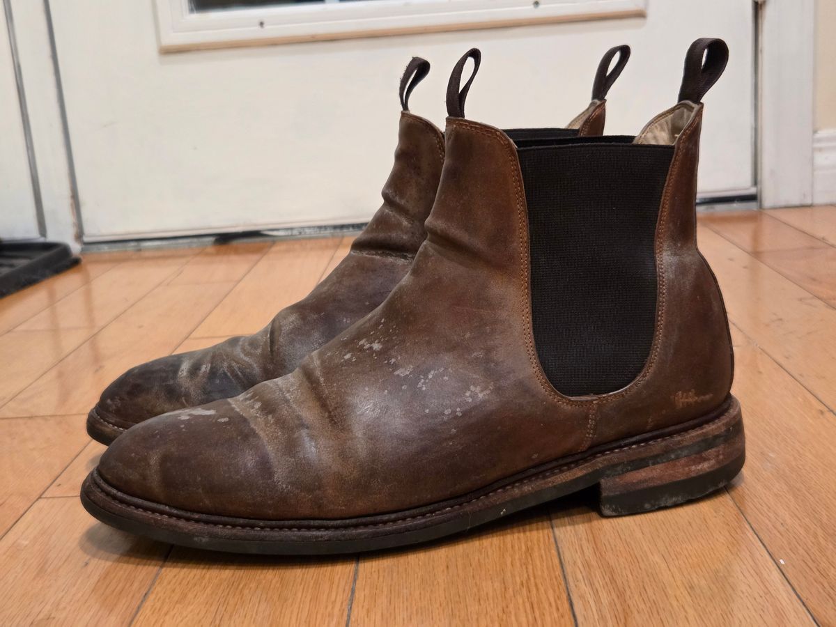 Photo by Syzygy on December 6, 2025 of the Meermin Chelsea Boot in Whiskey Heritage Shell Cordovan.