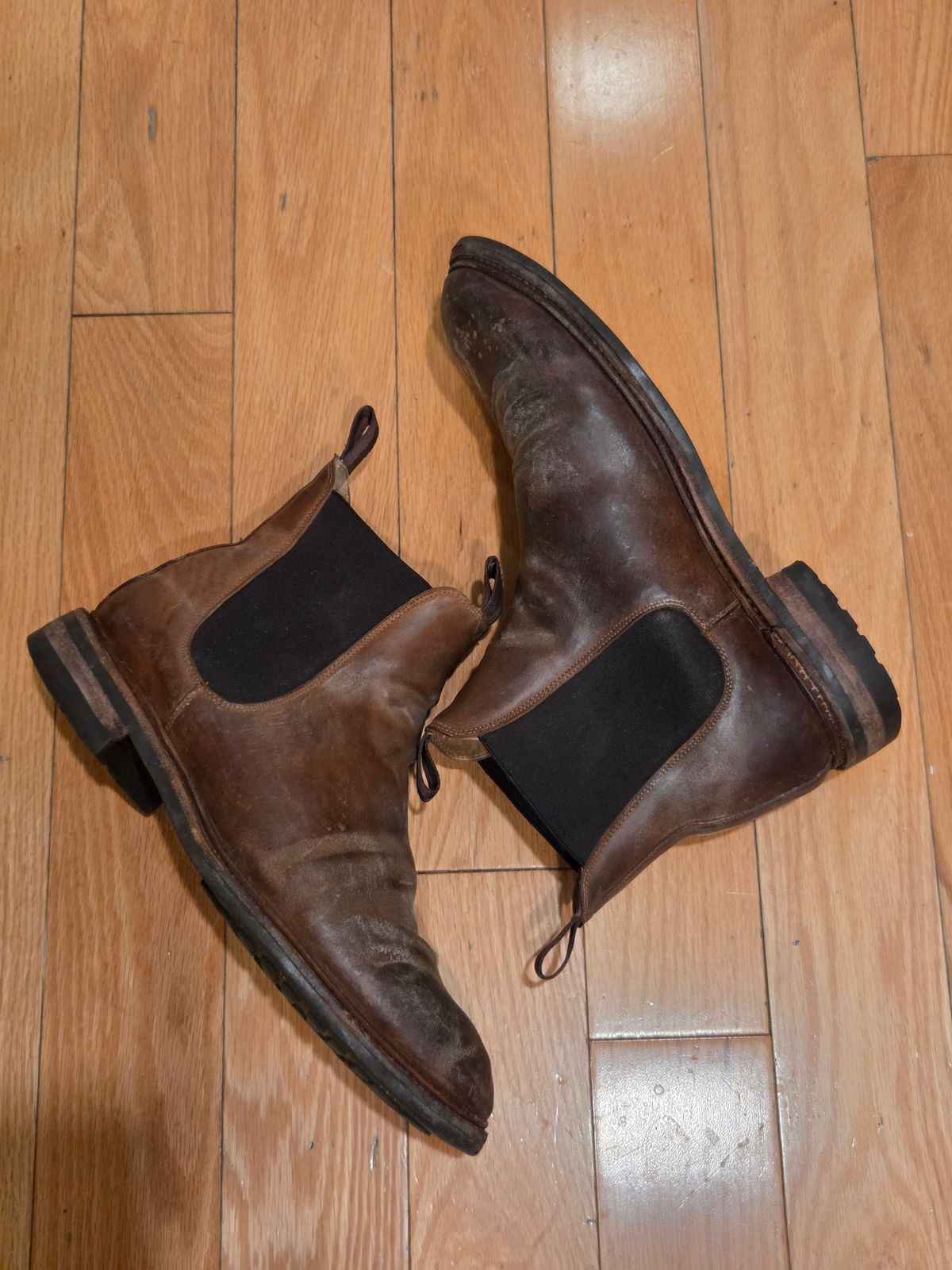 Photo by Syzygy on December 6, 2025 of the Meermin Chelsea Boot in Whiskey Heritage Shell Cordovan.