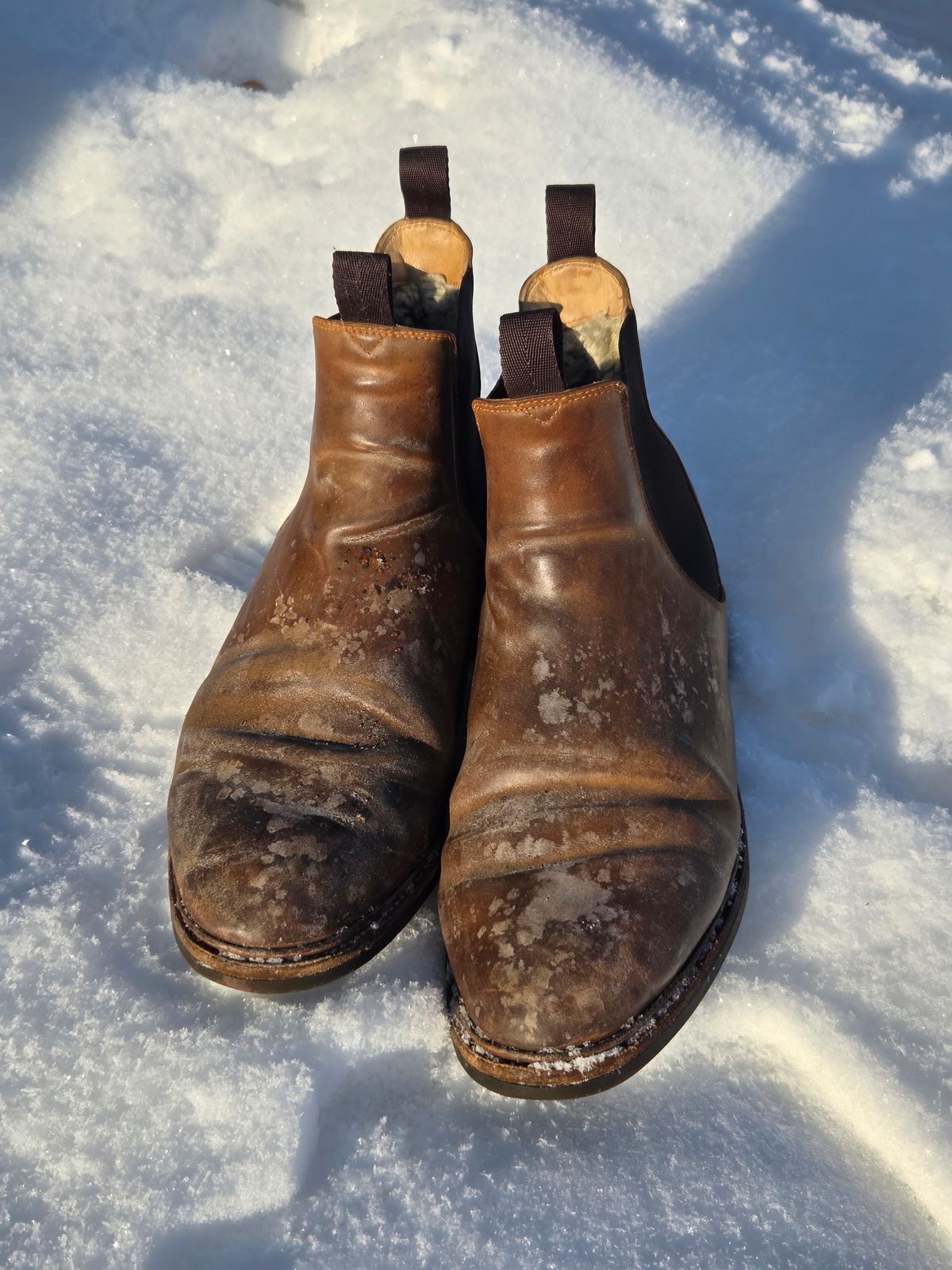 Photo by Syzygy on January 4, 2026 of the Meermin Chelsea Boot in Whiskey Heritage Shell Cordovan.