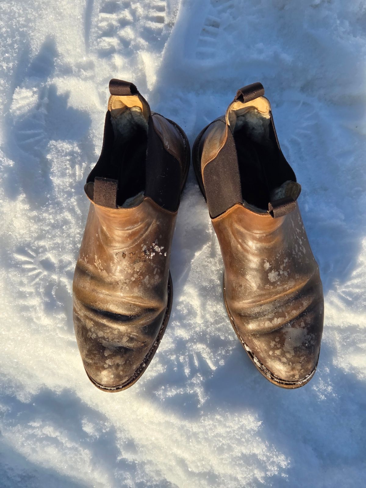 Photo by Syzygy on January 4, 2026 of the Meermin Chelsea Boot in Whiskey Heritage Shell Cordovan.