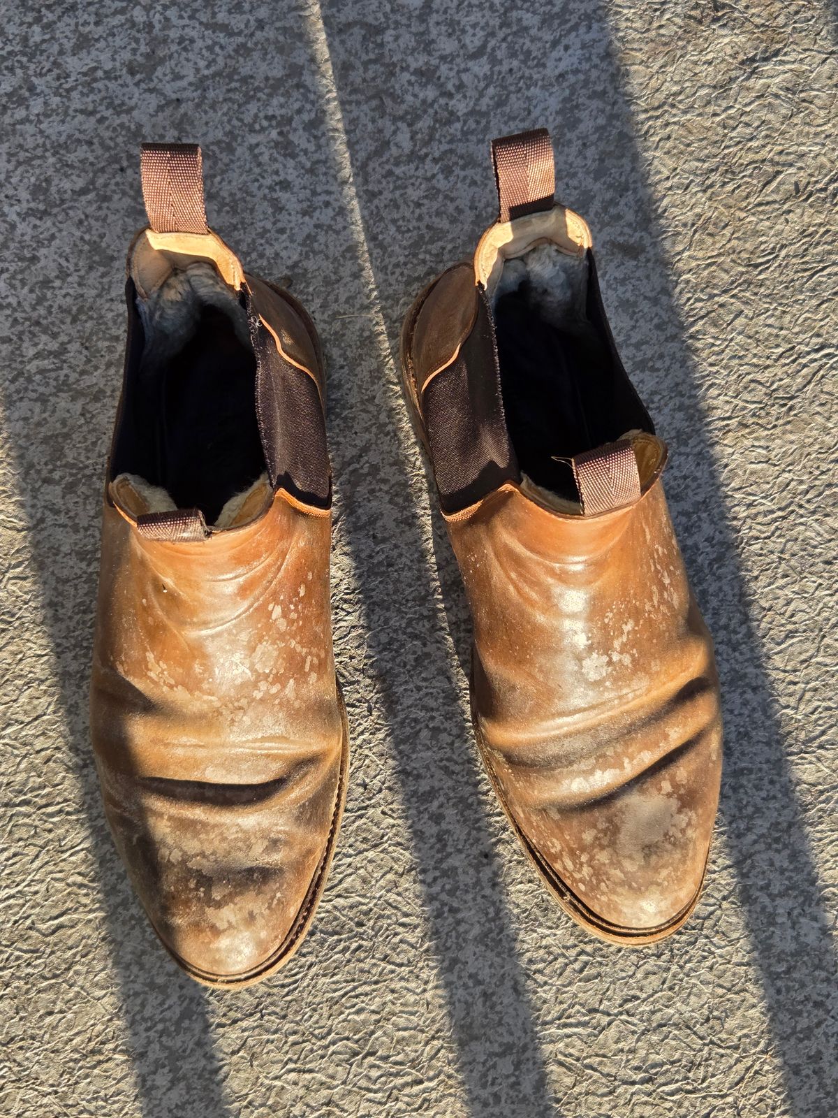 Photo by Syzygy on February 5, 2026 of the Meermin Chelsea Boot in Whiskey Heritage Shell Cordovan.
