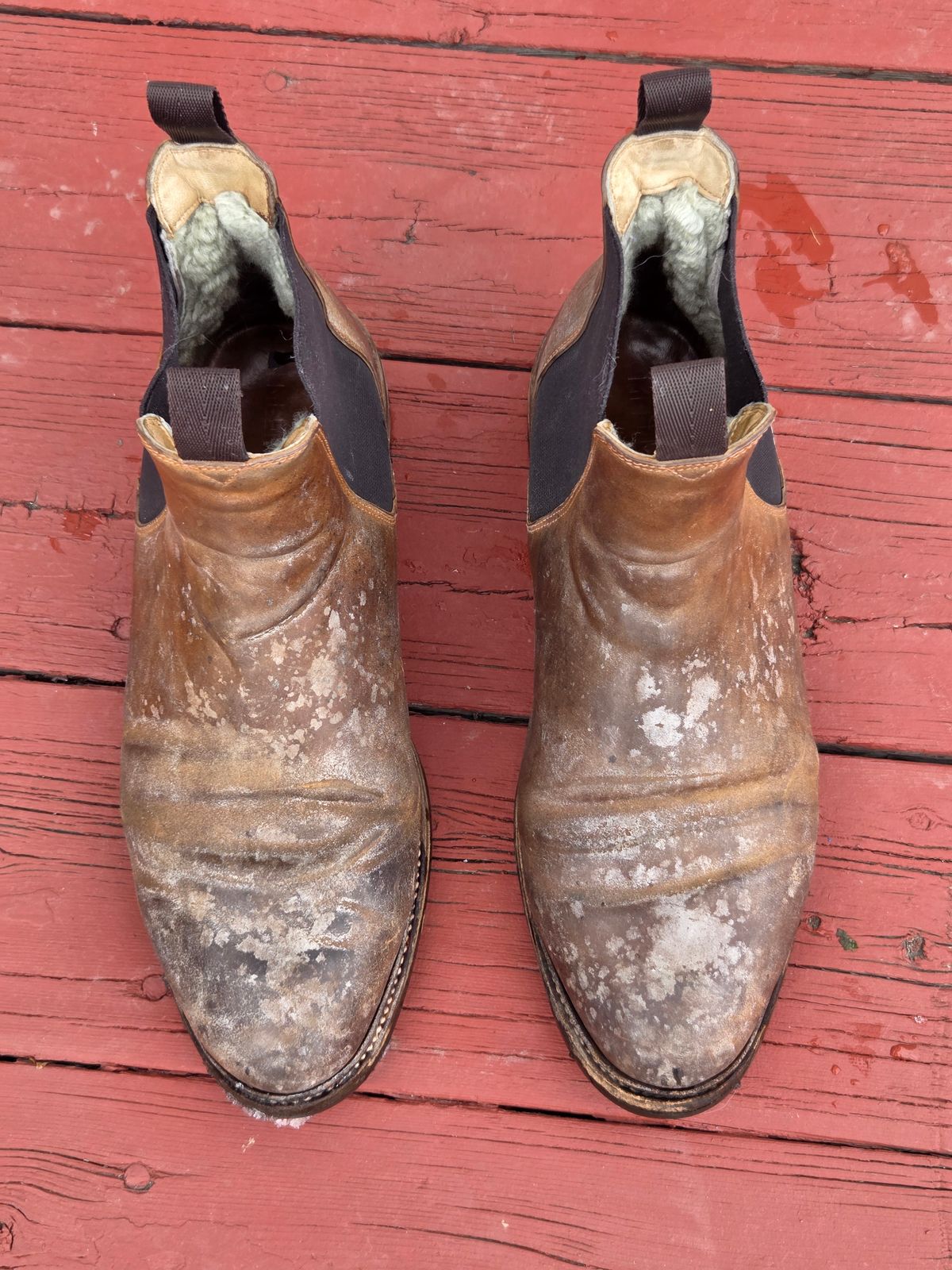 Photo by Syzygy on March 5, 2026 of the Meermin Chelsea Boot in Whiskey Heritage Shell Cordovan.
