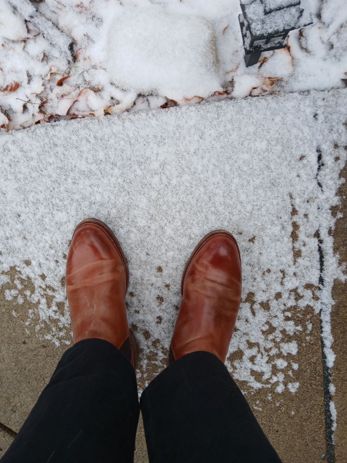 Photo by Ageless on October 21, 2024 of the Meermin Chelsea Boot in Whiskey Heritage Shell Cordovan.
