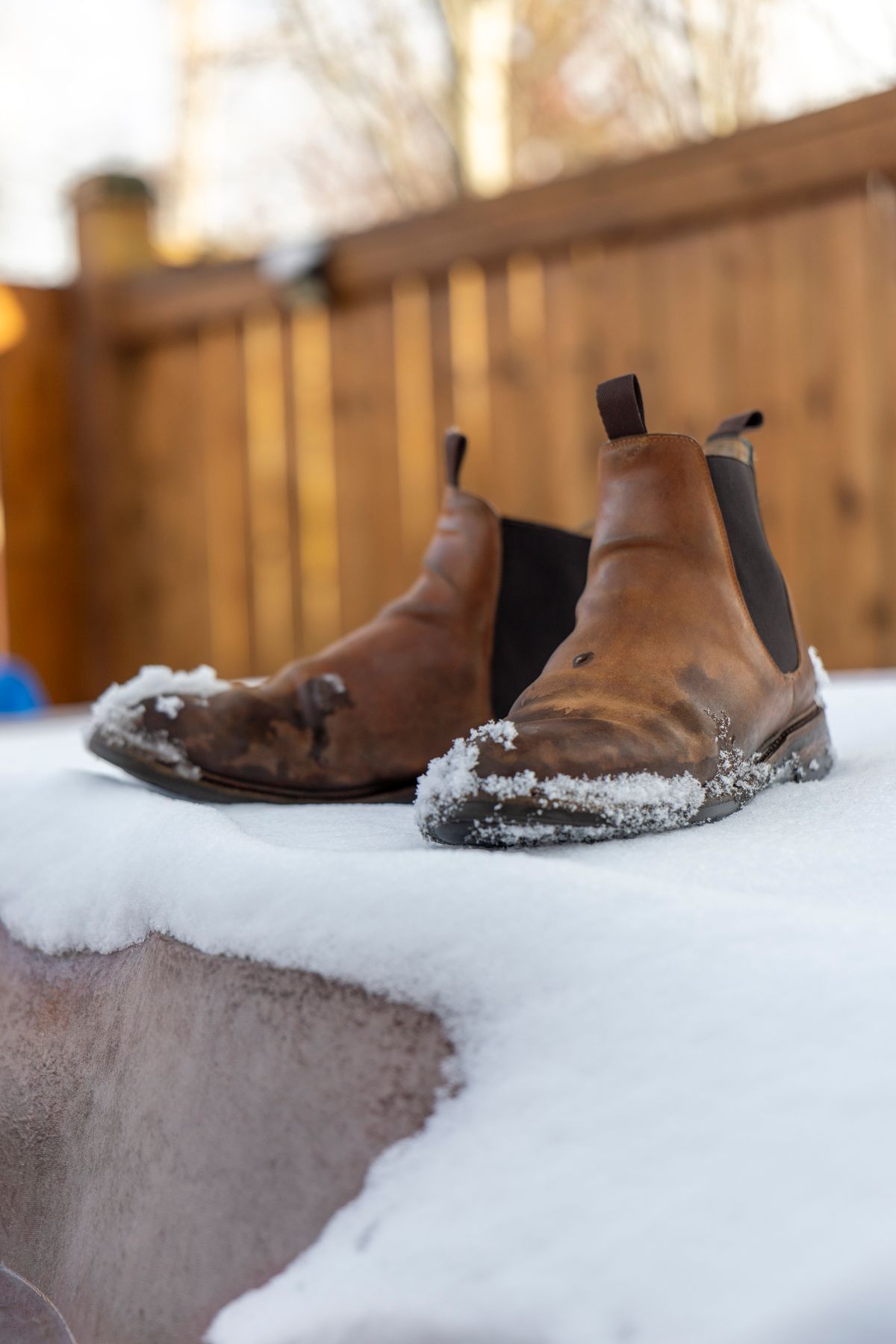 Photo by Ageless on April 2, 2025 of the Meermin Chelsea Boot in Whiskey Heritage Shell Cordovan.