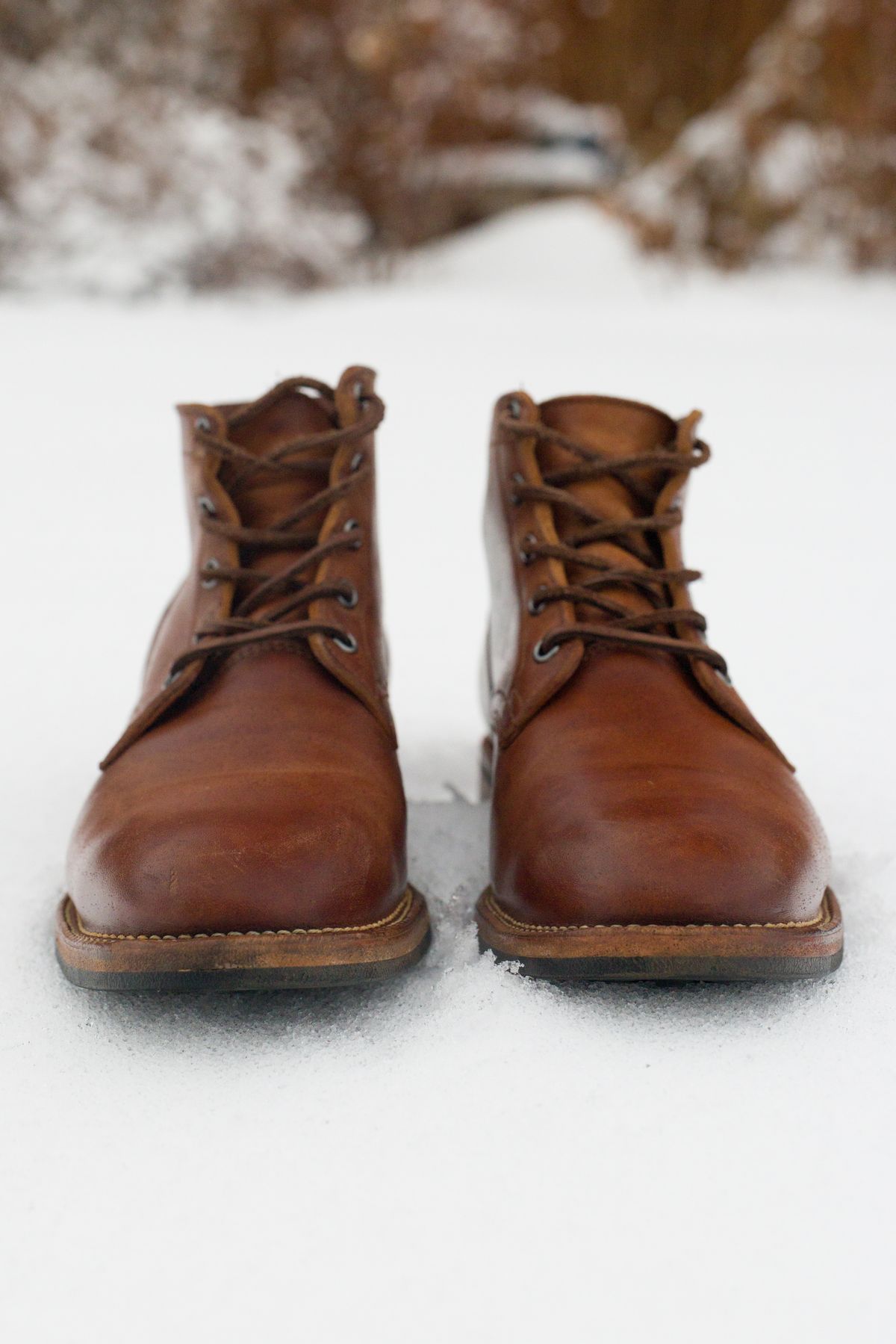 Photo by Syzygy on April 6, 2026 of the Viberg Service Boot in Maryam Moss Horsebutt.