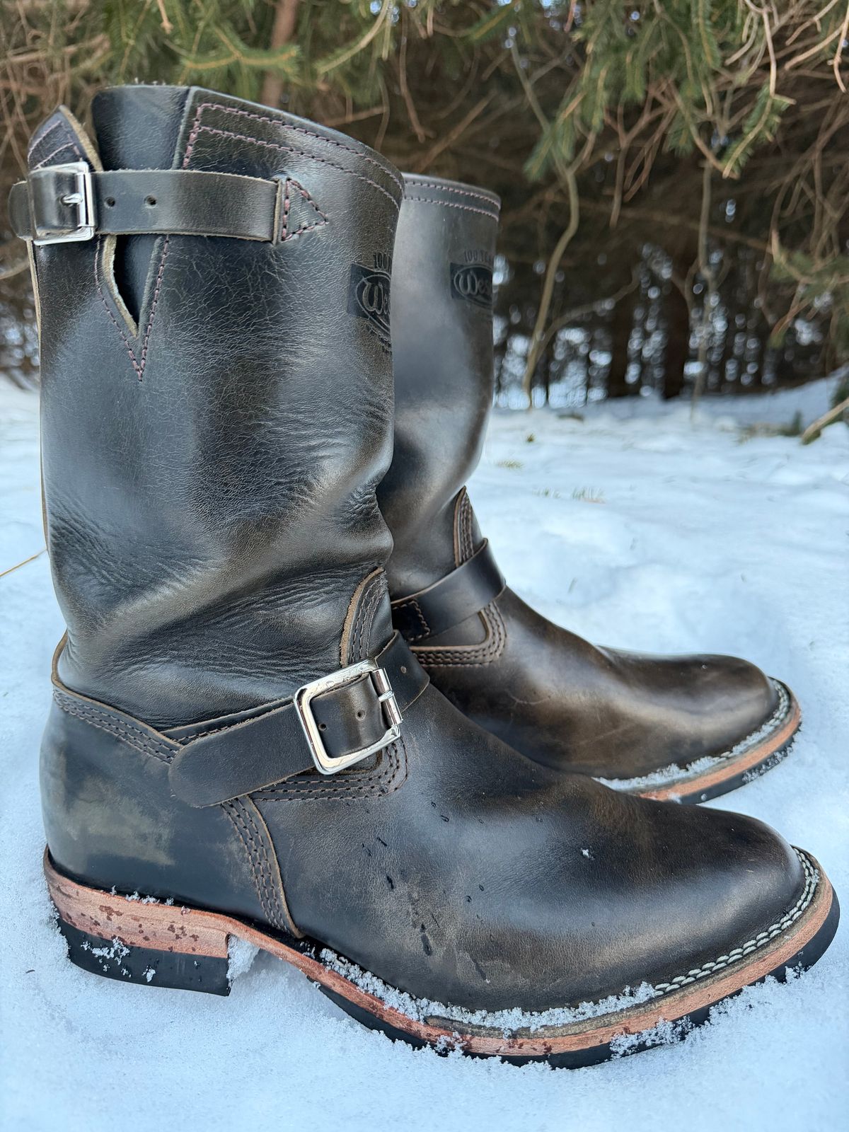 Photo by blackandbrownblues on February 5, 2026 of the Wesco Mister Lou in Maryam Petrolio Waxed Black Horsehide.