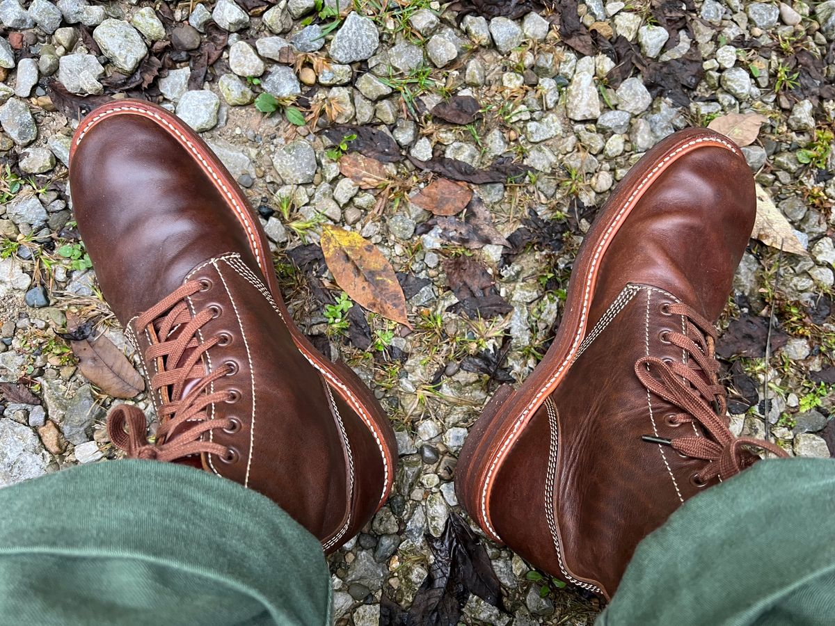 Photo by blackandbrownblues on September 30, 2024 of the John Lofgren M-43 Service Shoes in Vegetable-tanned, Aniline-finished Italian Horsehide.