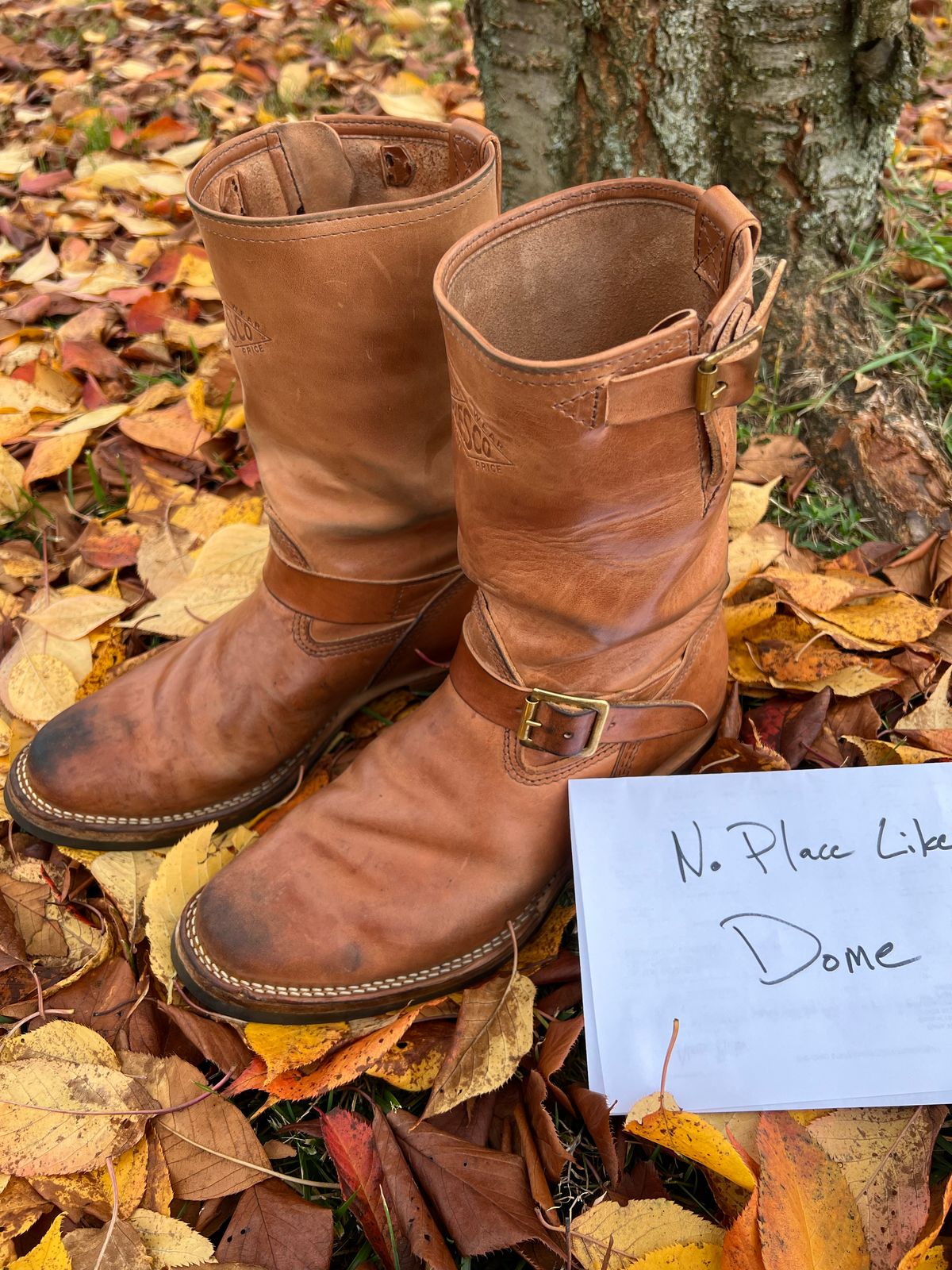 Photo by blackandbrownblues on November 1, 2022 of the Wesco Mister Lou in Maryam Natural Horsebutt.