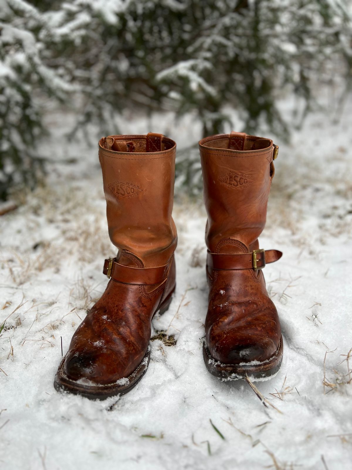 Photo by blackandbrownblues on January 22, 2023 of the Wesco Mister Lou in Maryam Natural Horsebutt.