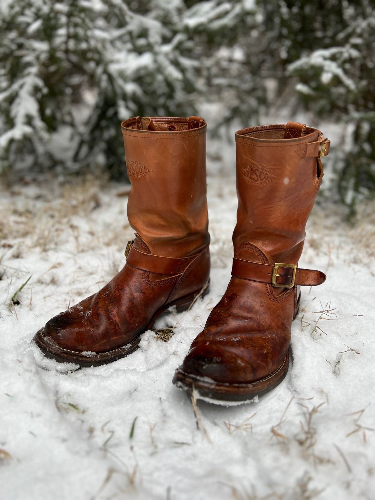 Photo by blackandbrownblues on January 22, 2023 of the Wesco Mister Lou in Maryam Natural Horsebutt.