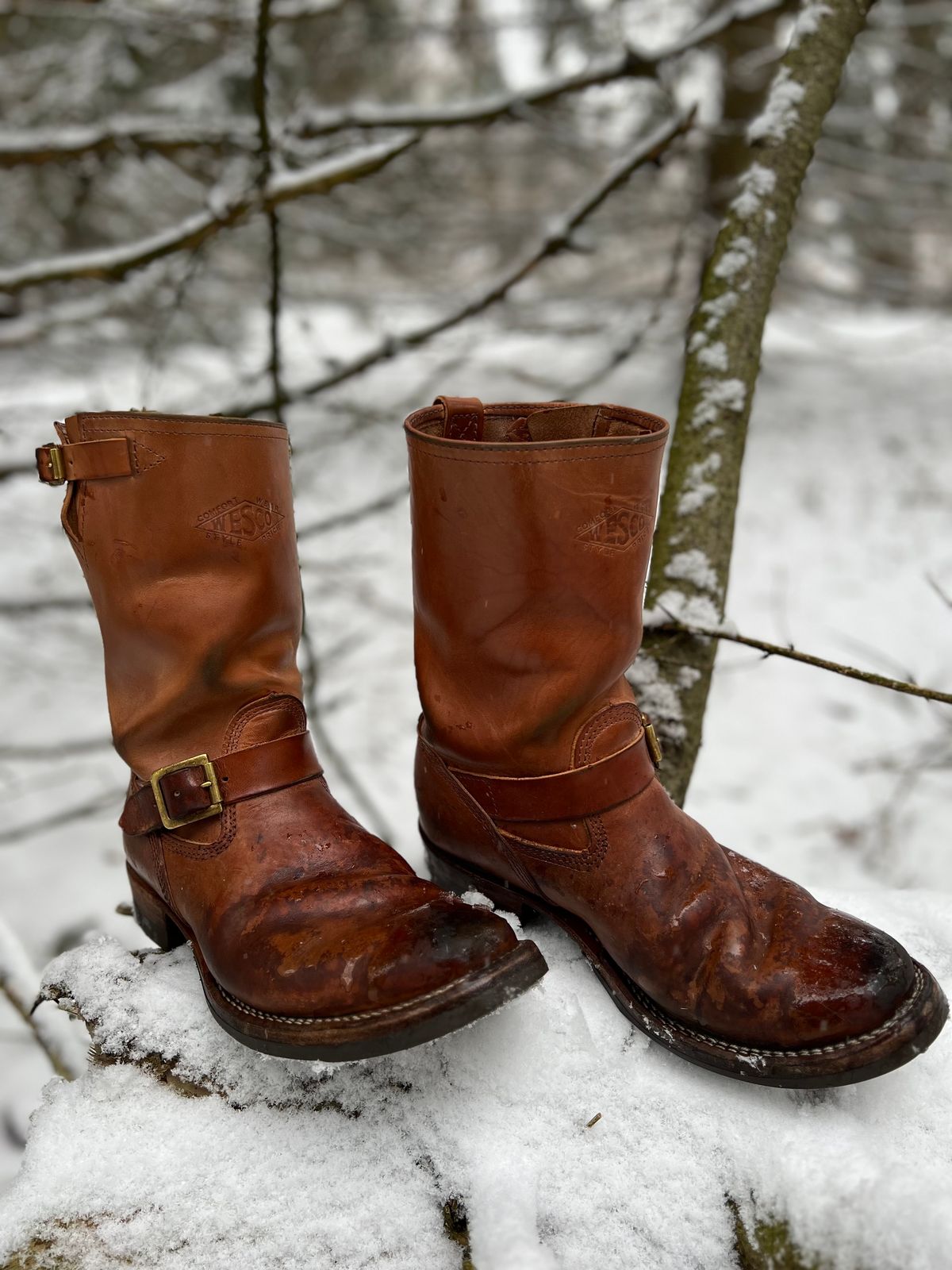 Photo by blackandbrownblues on January 22, 2023 of the Wesco Mister Lou in Maryam Natural Horsebutt.