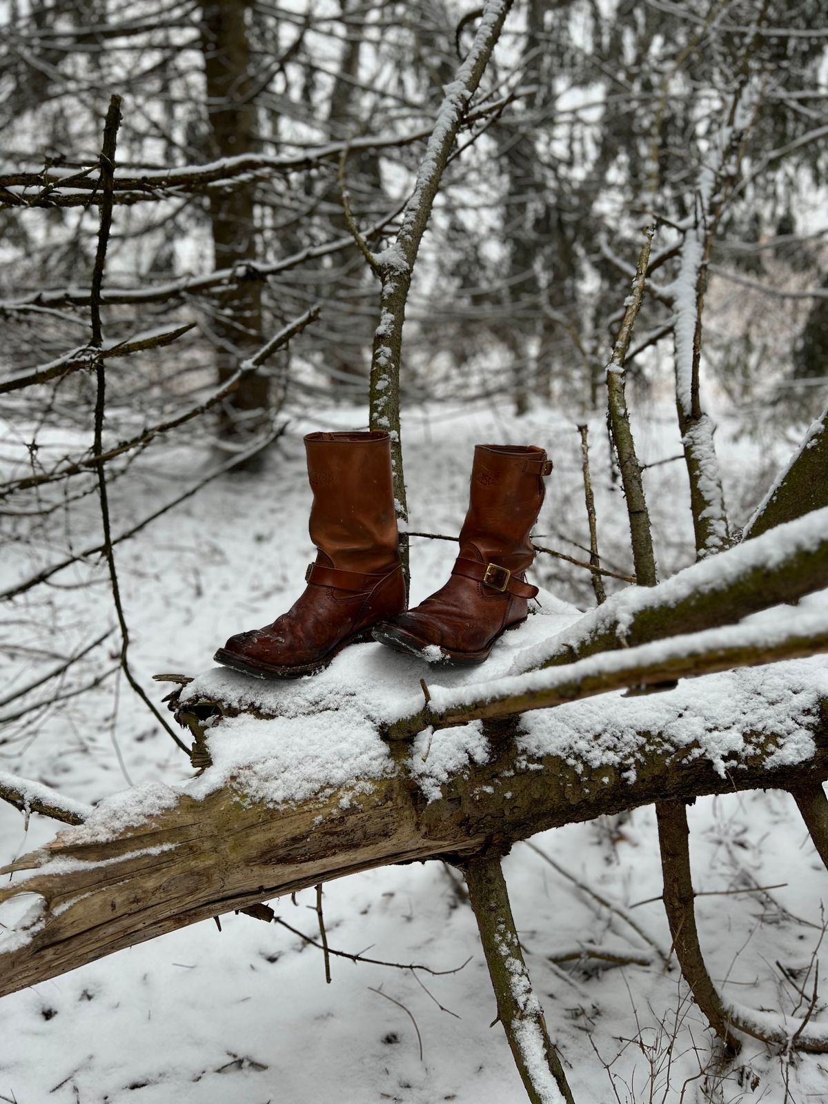 Photo by blackandbrownblues on February 5, 2023 of the Wesco Mister Lou in Maryam Natural Horsebutt.
