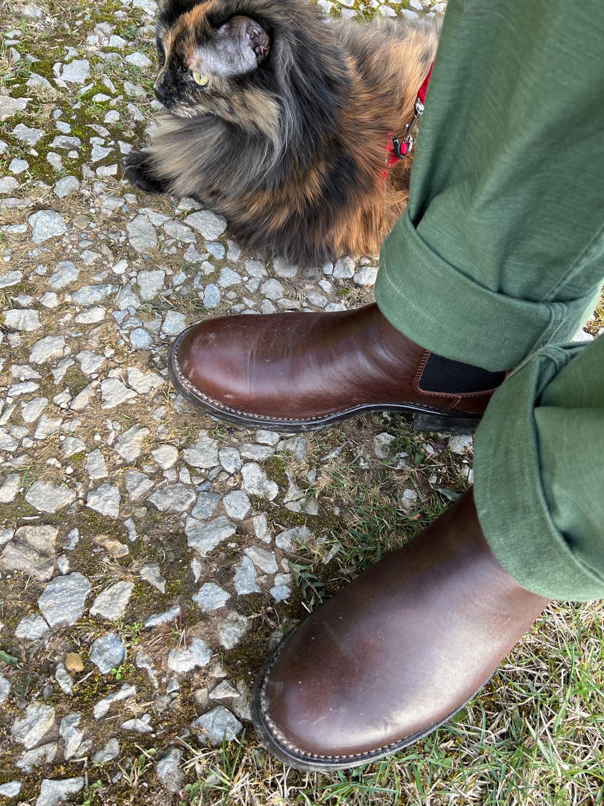 Photo by blackandbrownblues on April 8, 2024 of the Addict Boots AB-03 Chelsea Boots in Brown Horsehide.