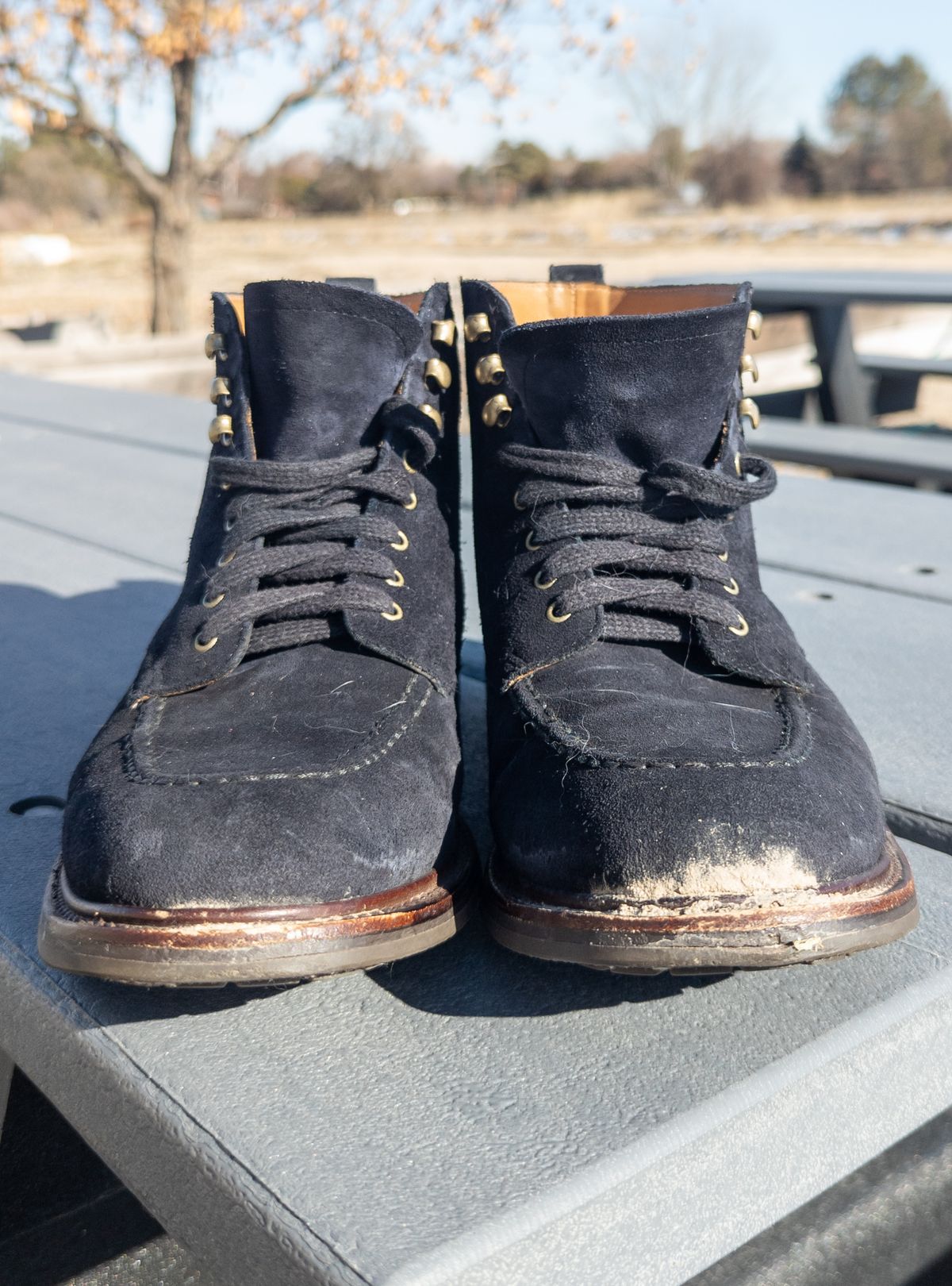 Photo by StarWarrior on February 3, 2023 of the J.Crew Kenton Pacer Boots in C.F. Stead Navy Blue Janus Calf Suede.