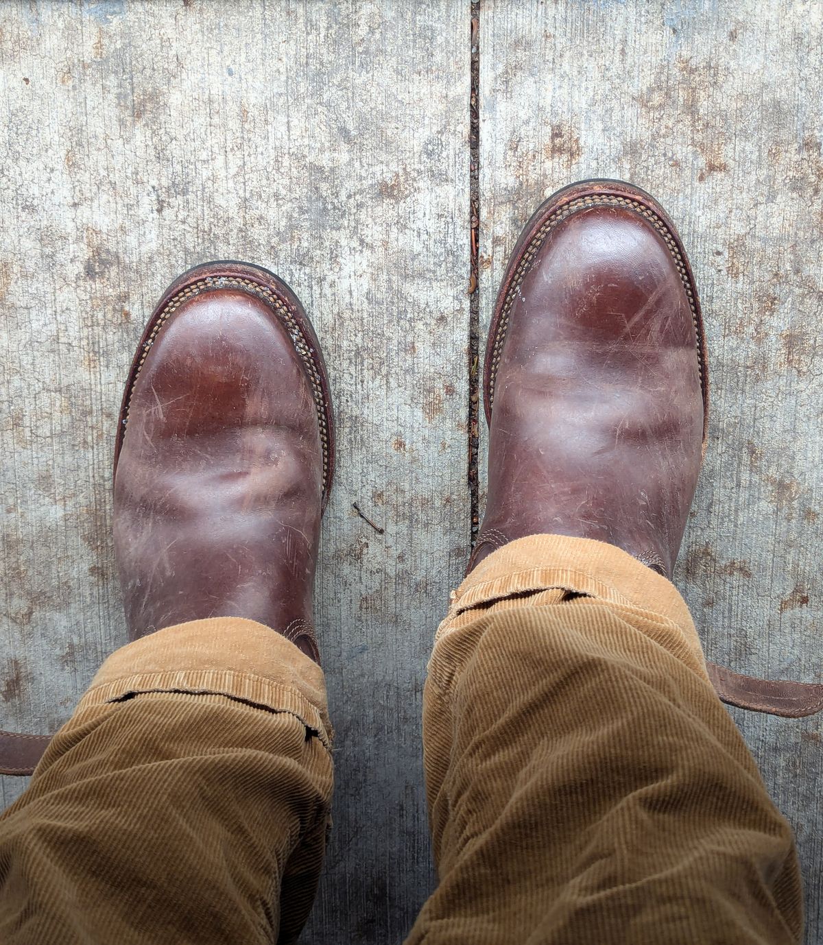 Photo by Frugal.Sole on January 22, 2026 of the Quan Shoemaker Engineer in Maryam Brown Horsebutt.