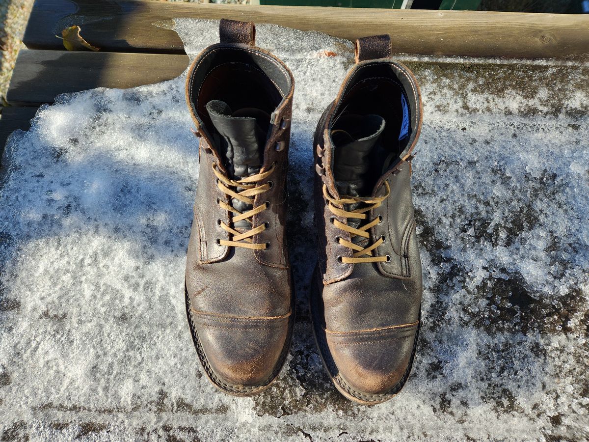 Photo by pnydm on December 5, 2022 of the Truman Service Boot in Horween Black Waxed Flesh.