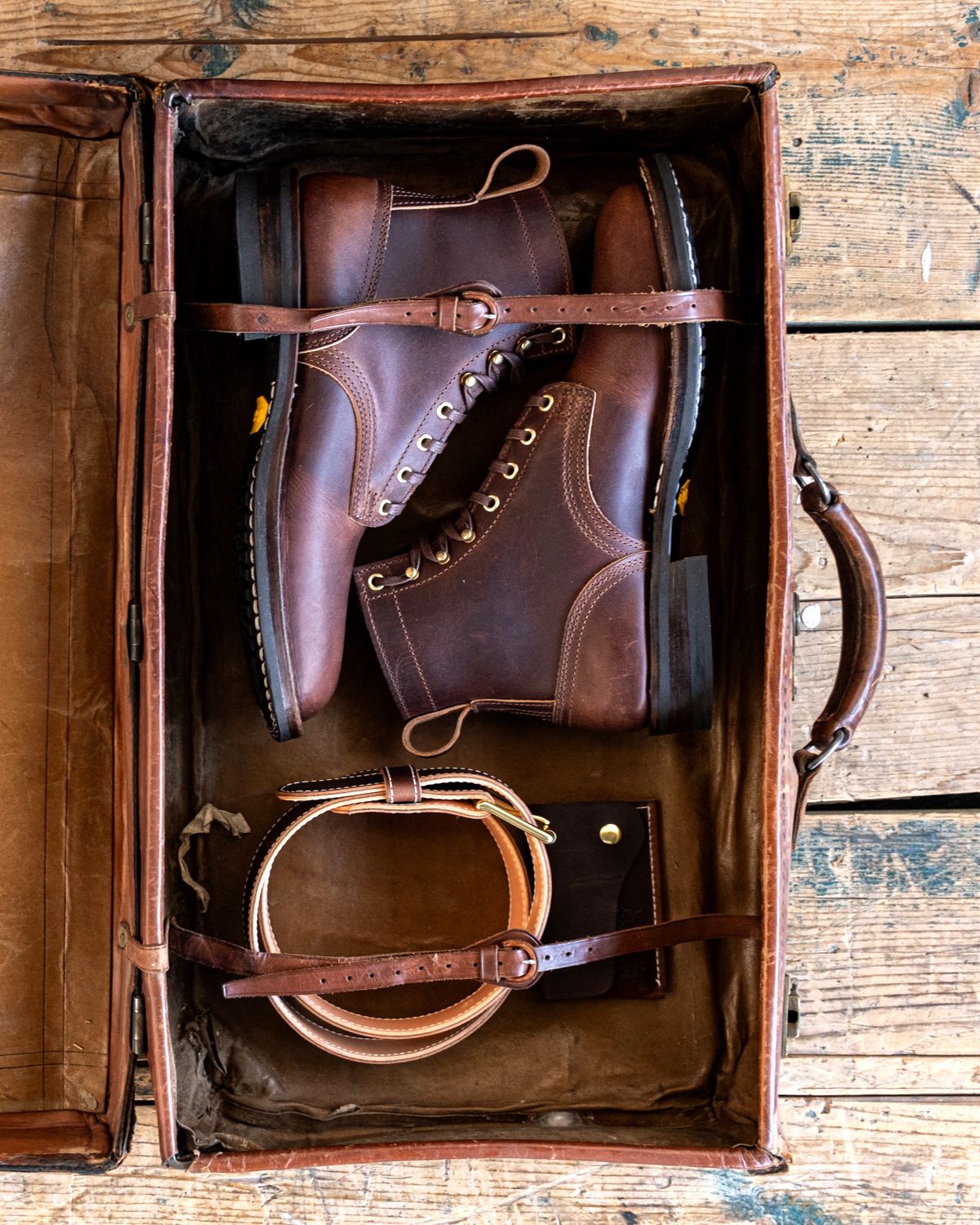 Photo by grainandtwill on November 4, 2023 of the Nicks Falcon in Italian Brown Cypress.