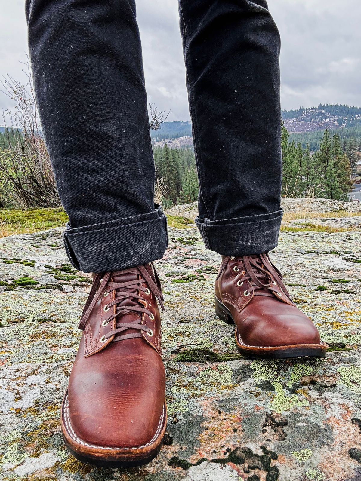 Photo by grainandtwill on November 19, 2023 of the Nicks Falcon in Italian Brown Cypress.