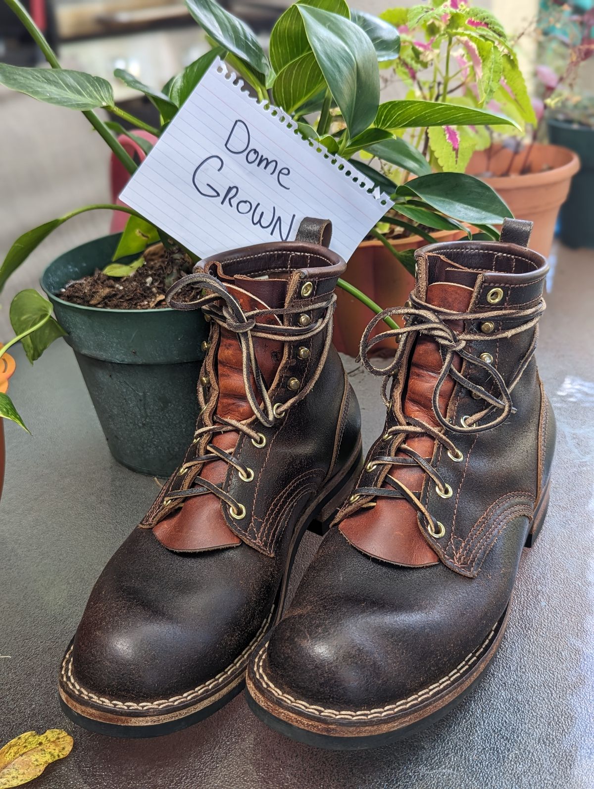 Photo by GreatAldini on November 2, 2023 of the Nicks Falcon in Horween Brown Waxed Flesh.