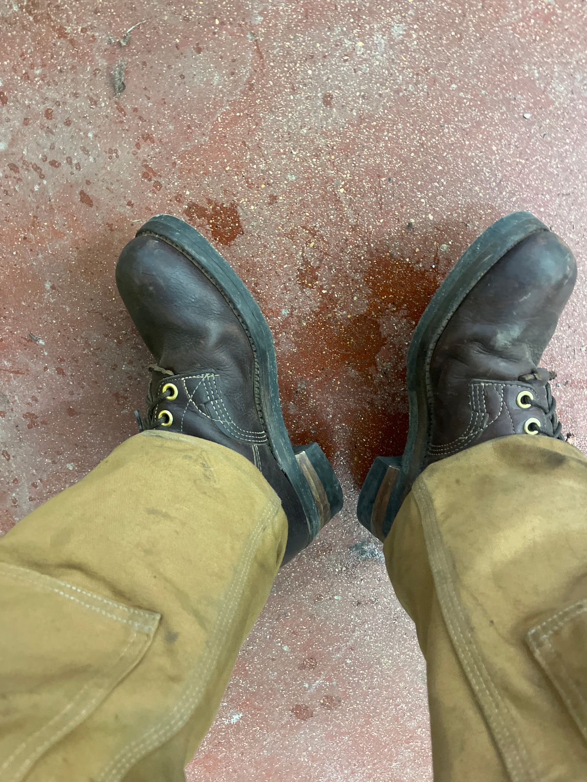 Photo by BigMunnyMunro on November 6, 2024 of the GREB 1960s Kodiak Steel Toe in Unknown Leather.