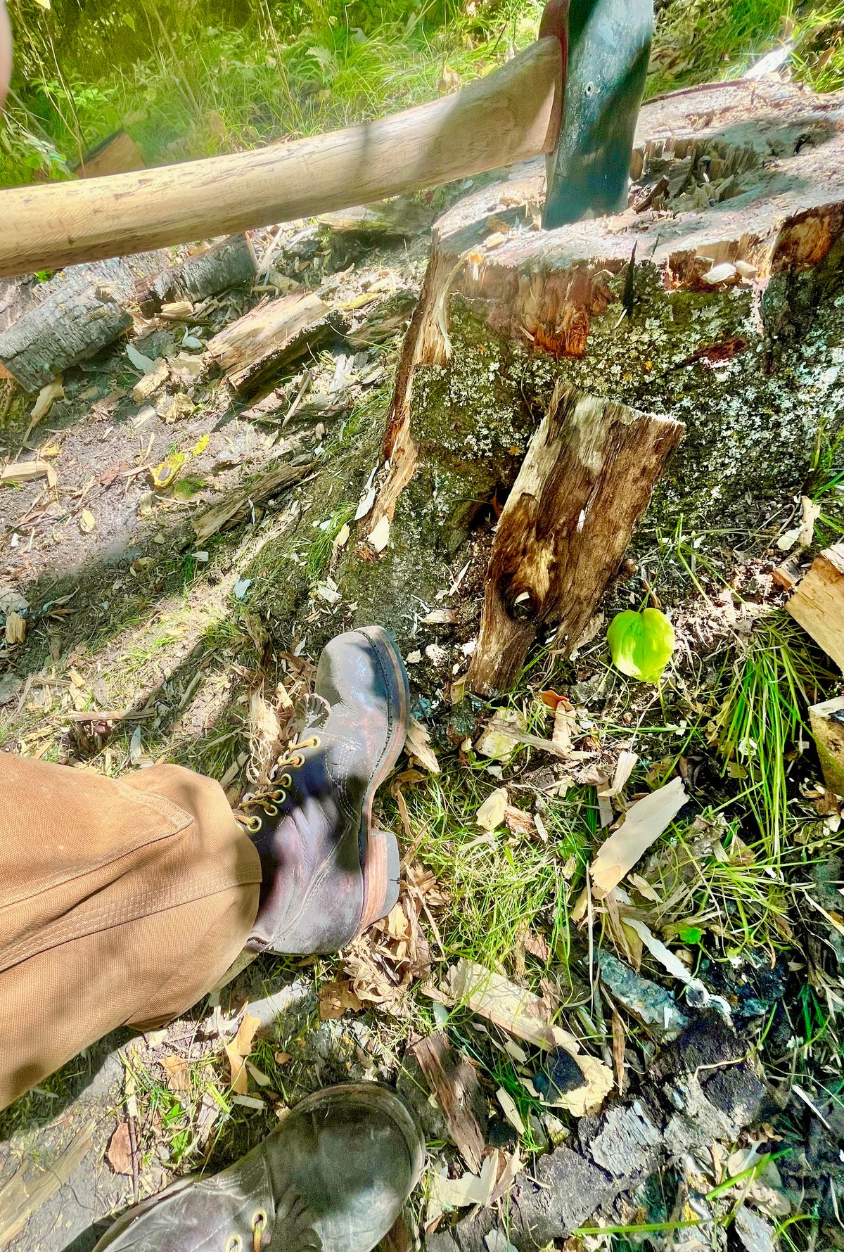 Photo by BigMunnyMunro on September 27, 2025 of the GREB 1960s Kodiak Steel Toe in Unknown Leather.