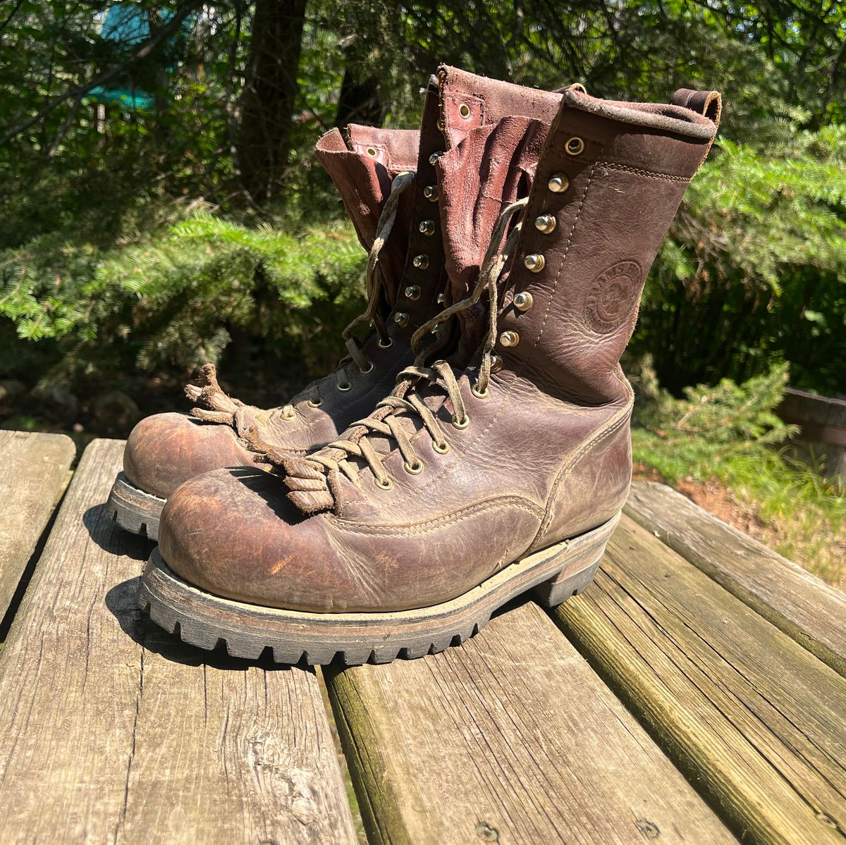 Photo by BigMunnyMunro on July 27, 2024 of the Canada West Boots Red Dog Lace To Toe CSA Logger - 34363 in Seidel Red Dog Oil Tan.