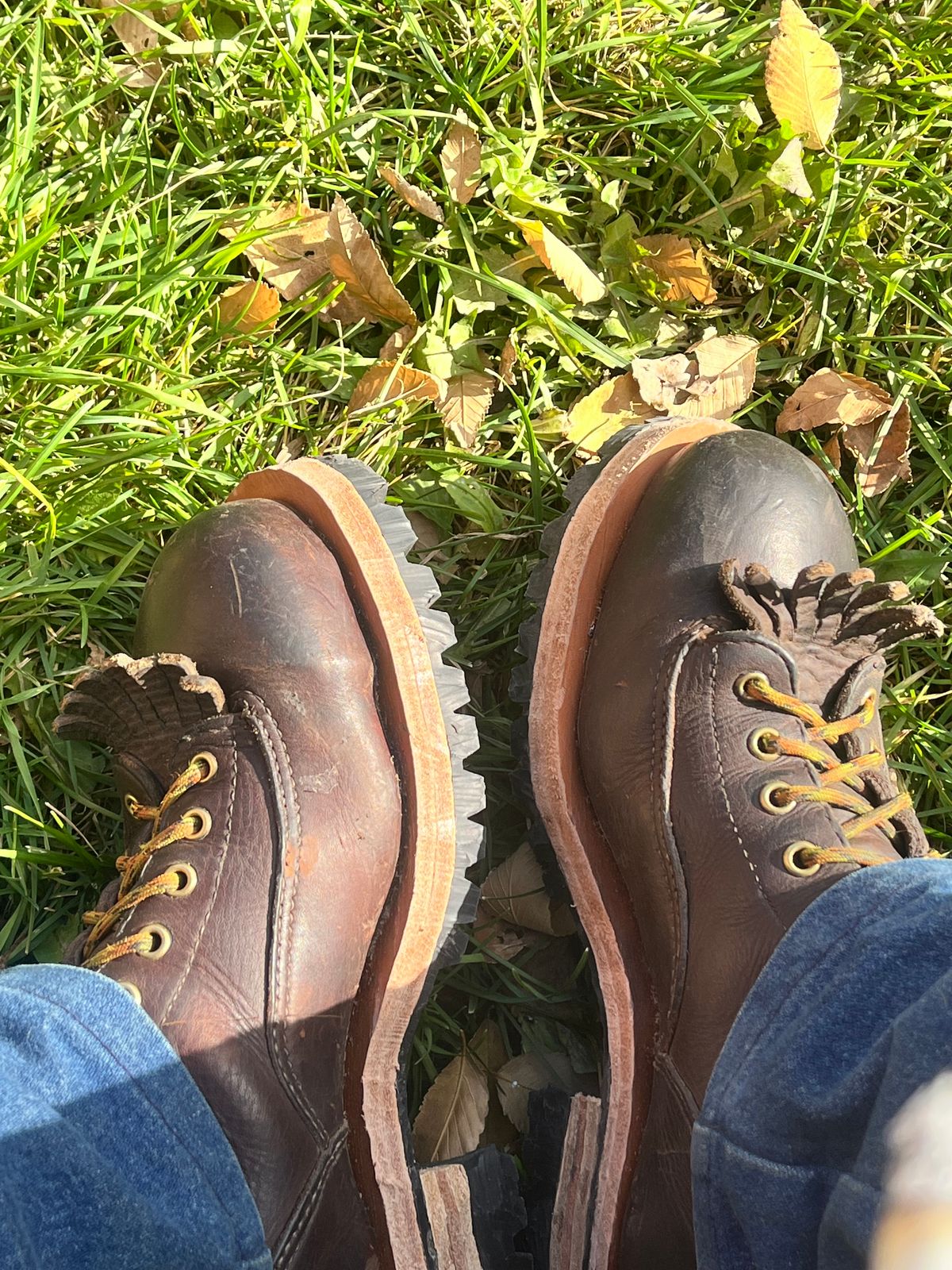 Photo by BigMunnyMunro on November 5, 2025 of the Canada West Boots Red Dog Lace To Toe CSA Logger - 34363 in Seidel Red Dog Oil Tan.