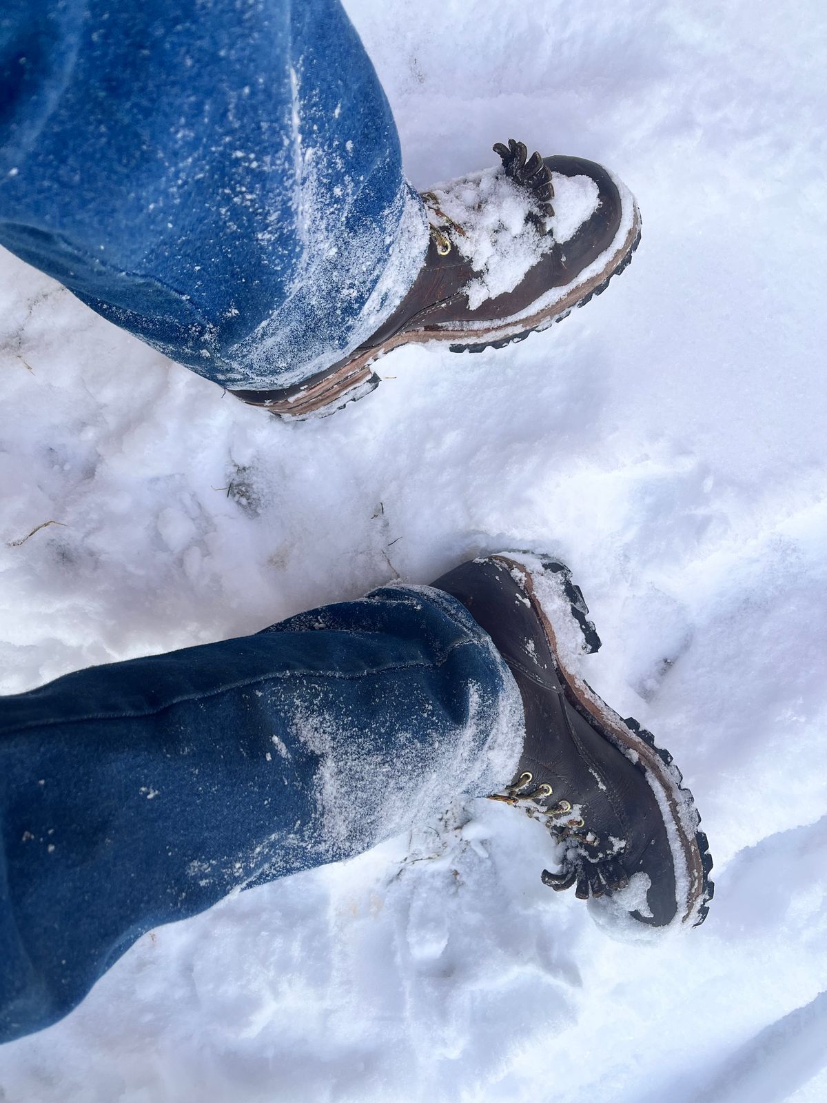 Photo by BigMunnyMunro on December 10, 2025 of the Canada West Boots Red Dog Lace To Toe CSA Logger - 34363 in Seidel Red Dog Oil Tan.