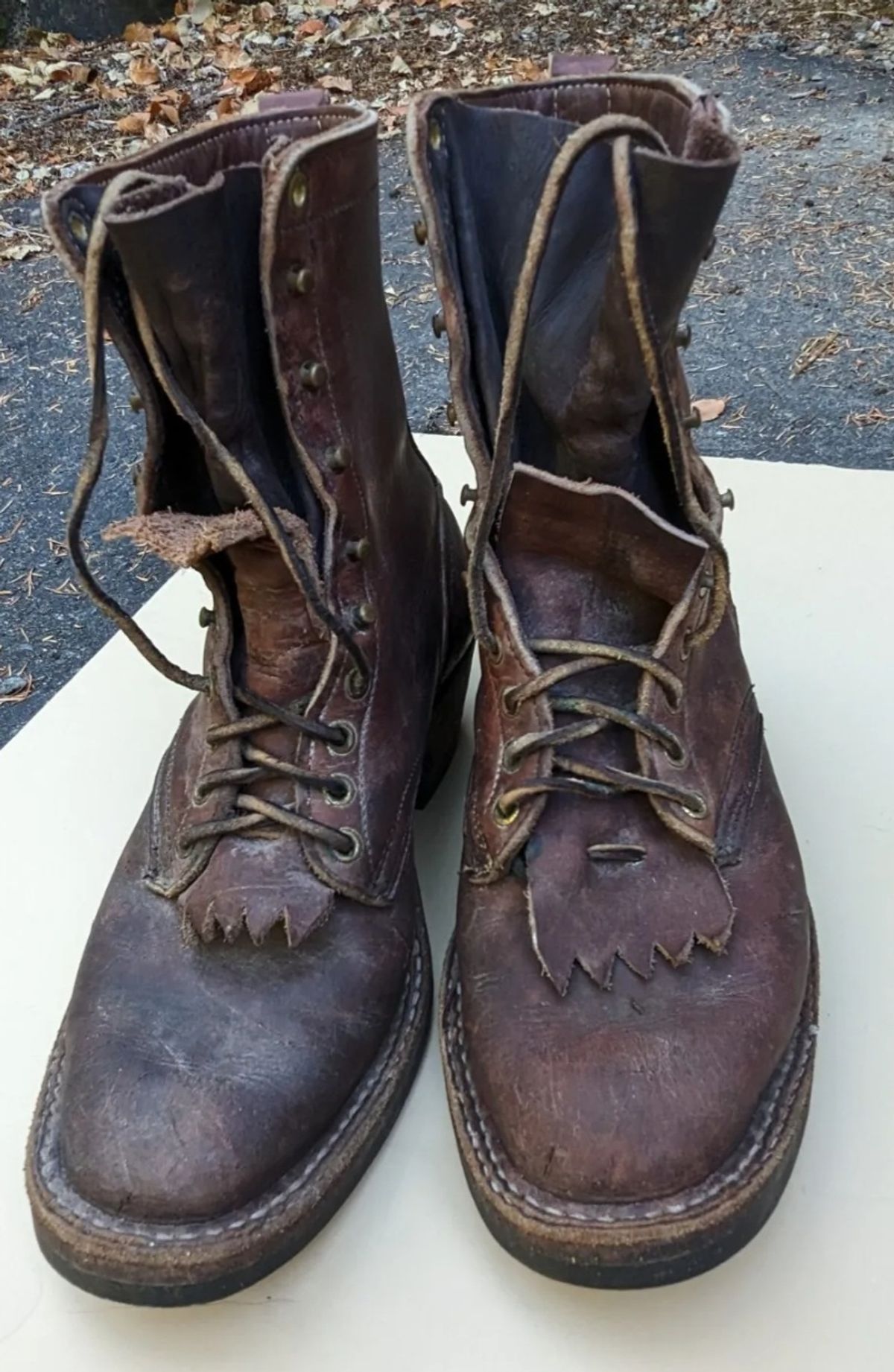 Photo by Zeonic on August 22, 2023 of the White's Packer in Brown Distress.