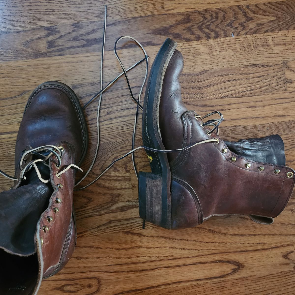 Photo by Zeonic on October 22, 2023 of the White's Packer in Brown Distress.