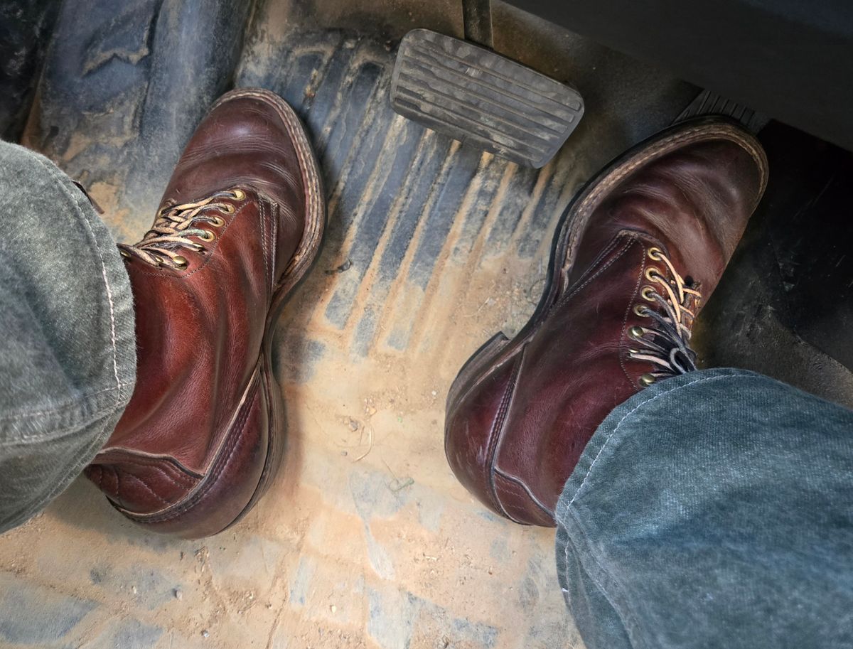 Photo by Zeonic on January 3, 2025 of the White's Packer in Brown Distress.