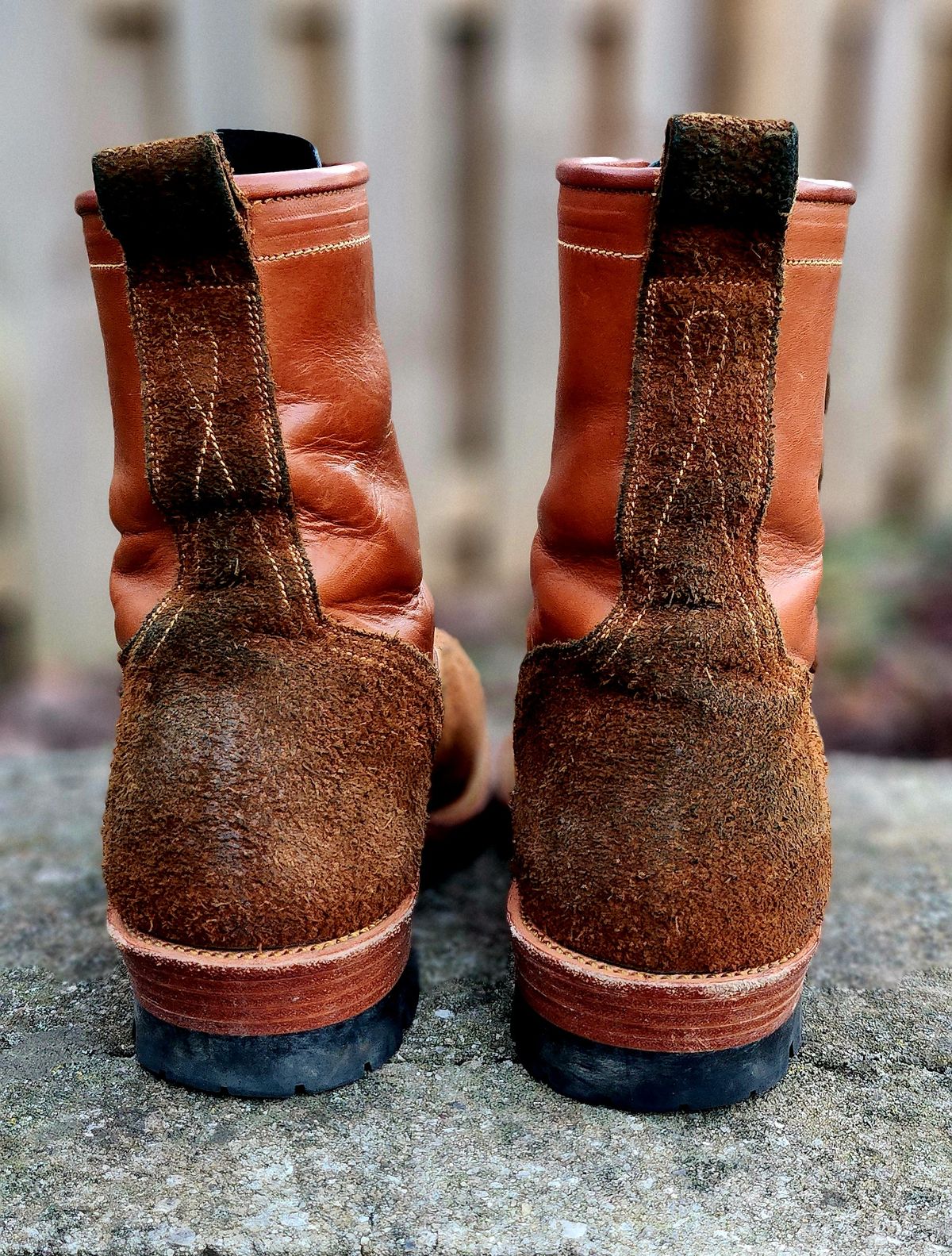 Photo by Zeonic on December 3, 2024 of the Fortis Boots Goldrush in Badalassi Carlo Cognac Minerva.