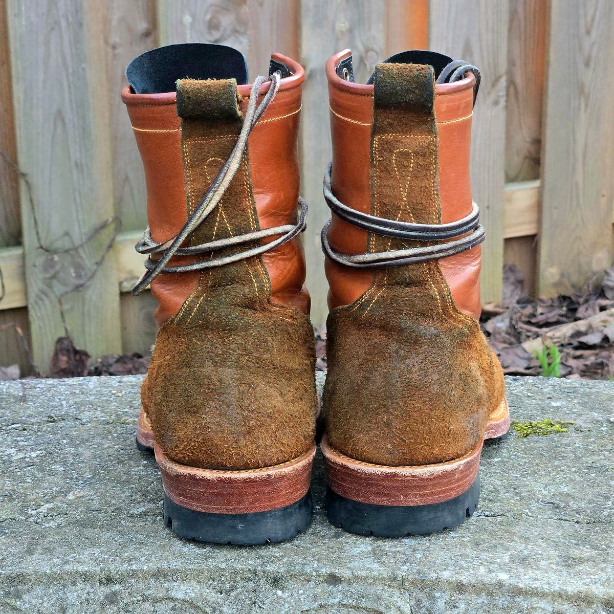 Photo by Zeonic on March 2, 2025 of the Fortis Boots Goldrush in Badalassi Carlo Cognac Minerva.