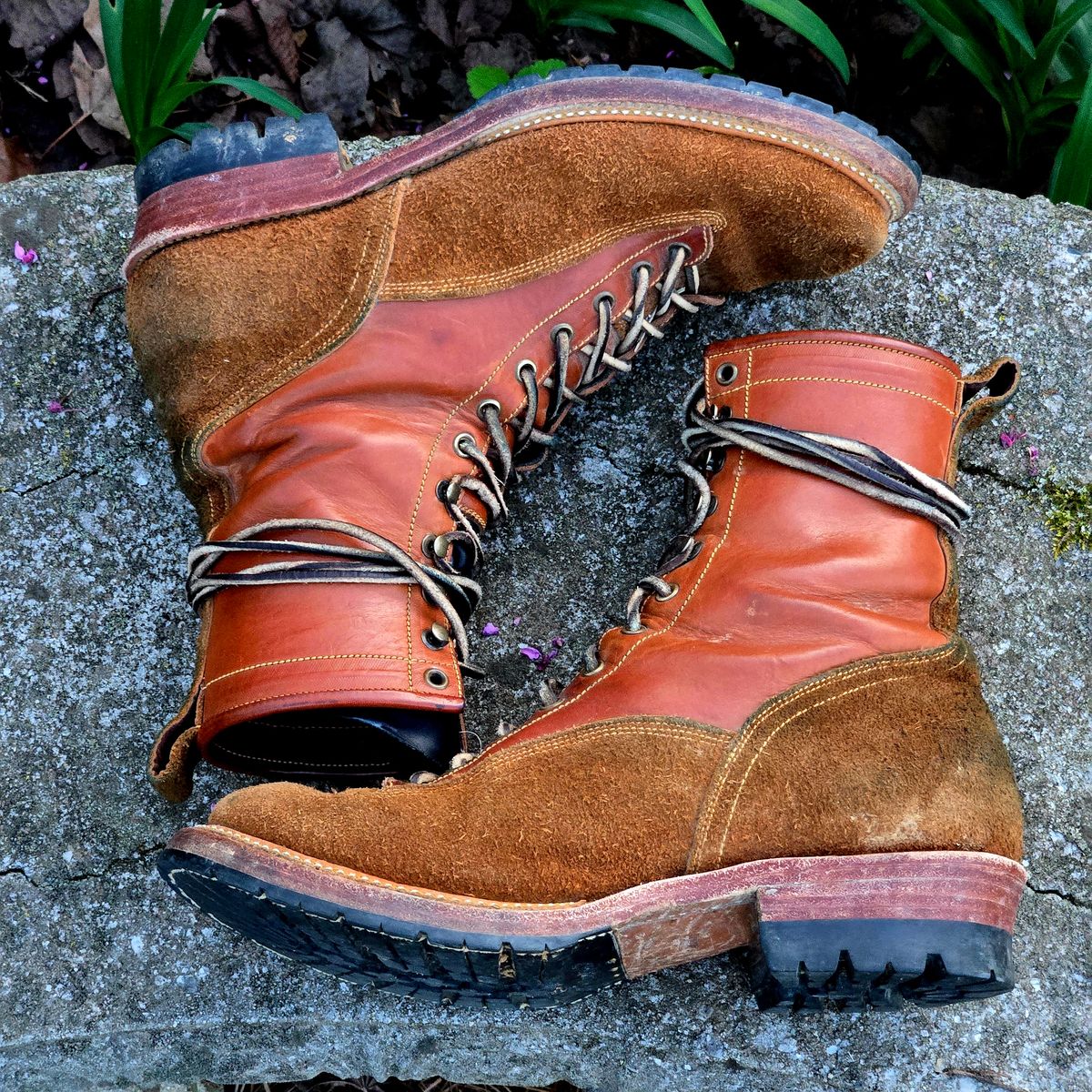 Photo by Zeonic on April 2, 2025 of the Fortis Boots Goldrush in Badalassi Carlo Cognac Minerva.