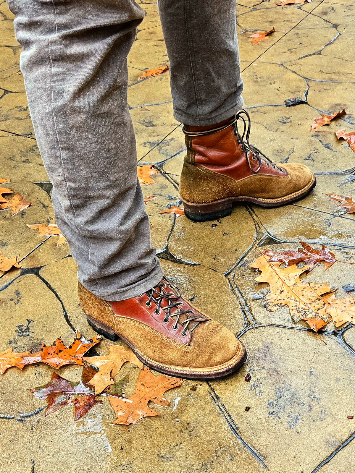 Photo by Zeonic on November 25, 2025 of the Fortis Boots Goldrush in Badalassi Carlo Cognac Minerva.