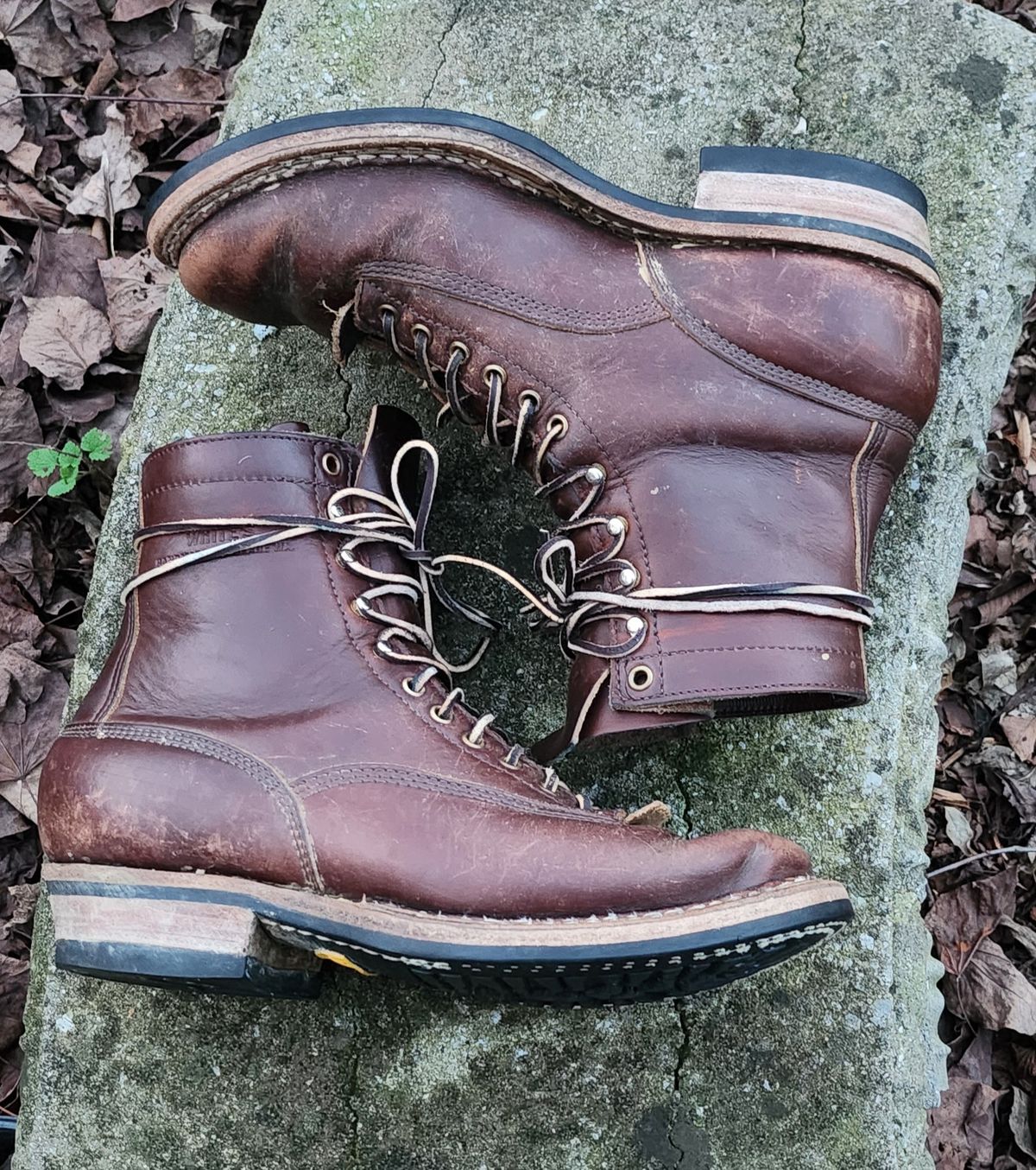 Photo by Zeonic on February 1, 2024 of the White's Bounty Hunter in Horween Brown Chromexcel.