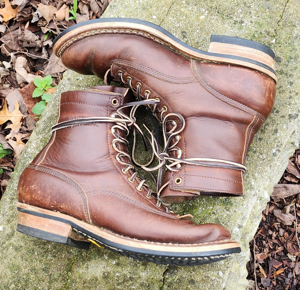 Photo by Zeonic on March 2, 2024 of the White's Bounty Hunter in Horween Brown Chromexcel.