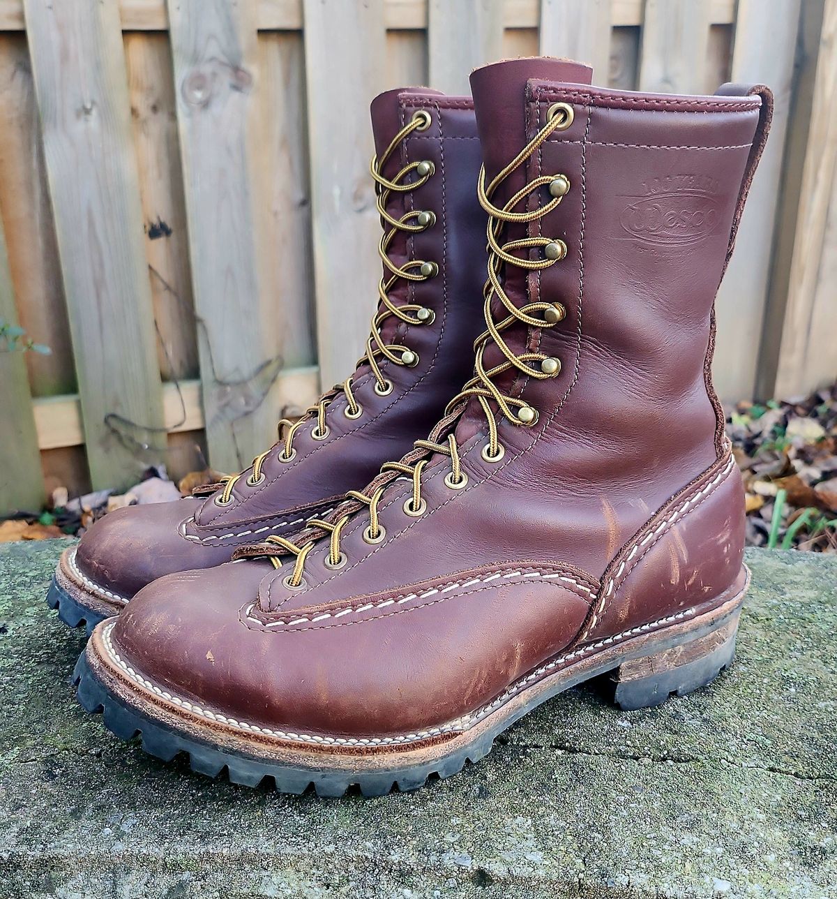 Photo by Zeonic on November 1, 2024 of the Wesco Jobmaster in Seidel Red Dog Oil Tan.